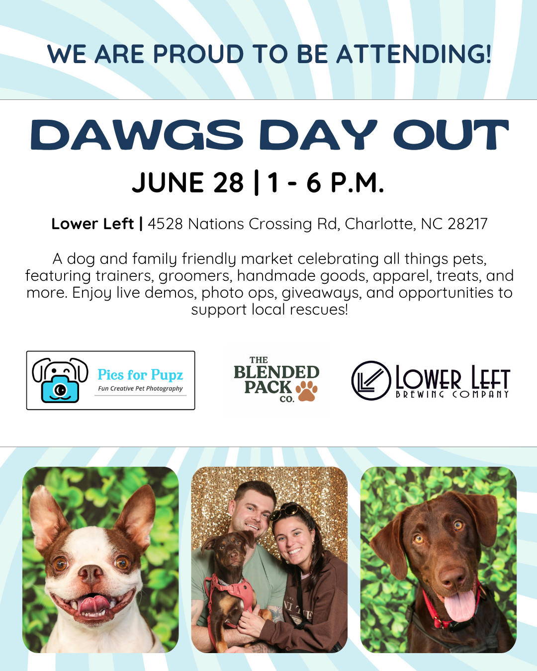 Flyer for Dawgs Day Out event on June 28 from 1 to 6 PM at 4528 Nations Crossing Rd, Charlotte, NC. Features dogs and families, with info about local vendors, pet activities, and a photo of a happy dog with green background, a couple with a dog, and another dog.