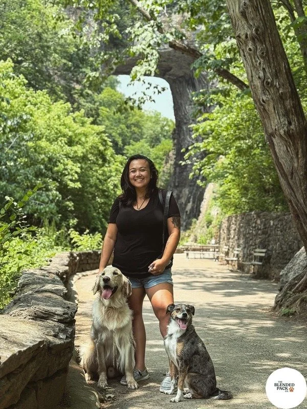 Bark in the Park