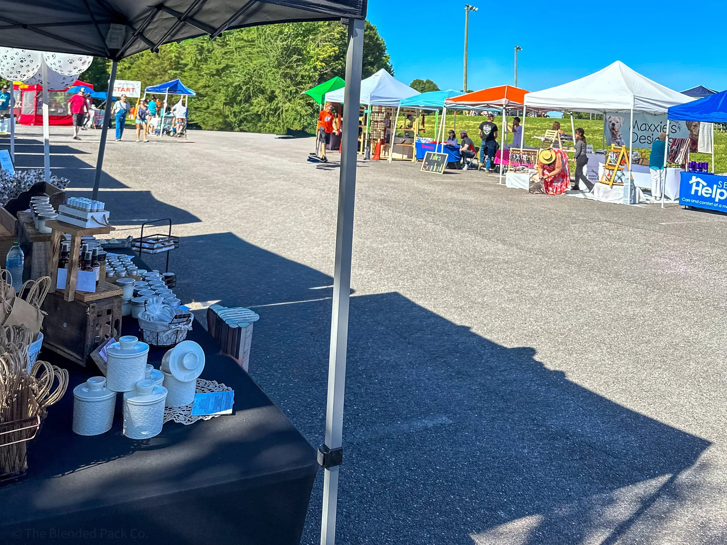 event in gastonia for pets