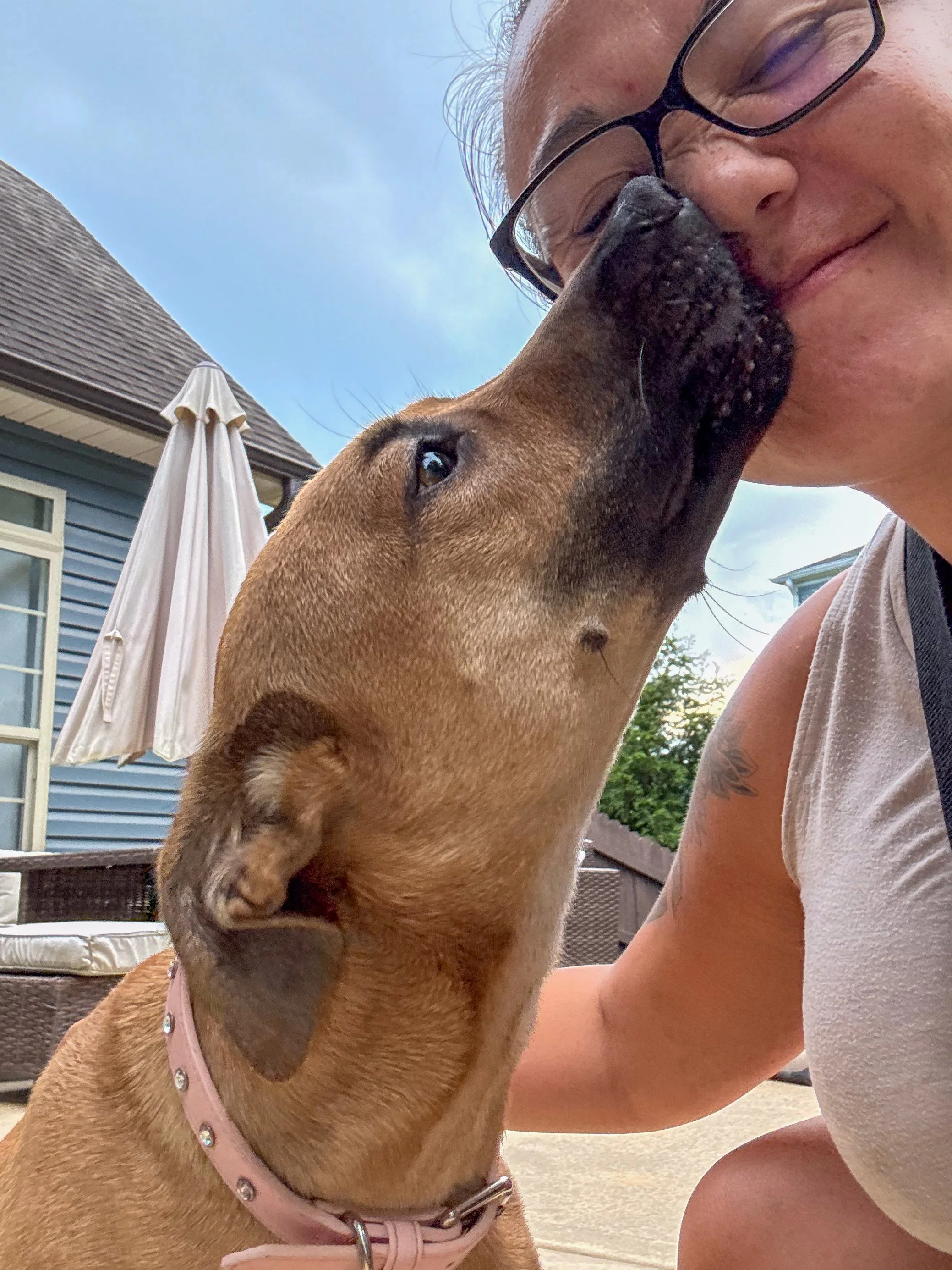 dog with human in belmont