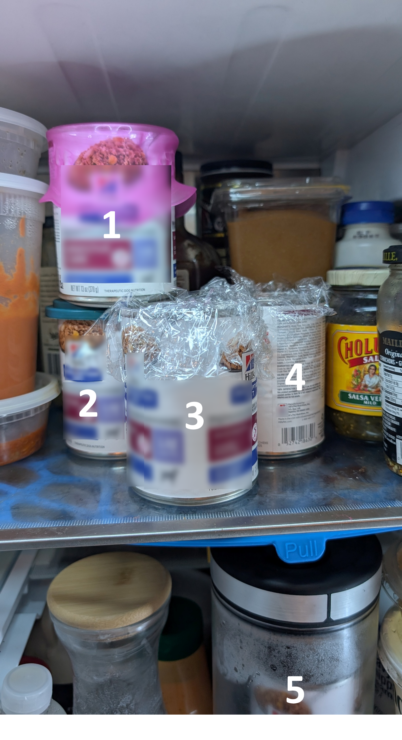 Inside a refrigerator, various food containers and cans are visible, including four opened cans of pet food, labeled jars, bottles, and plastic containers, stacked on shelves.