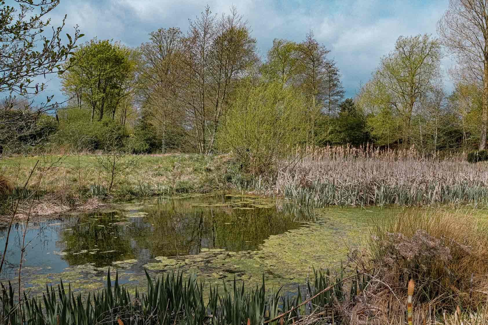 Cuttle Mill Training Room Hire Scenic Grounds with Pond in Northampton