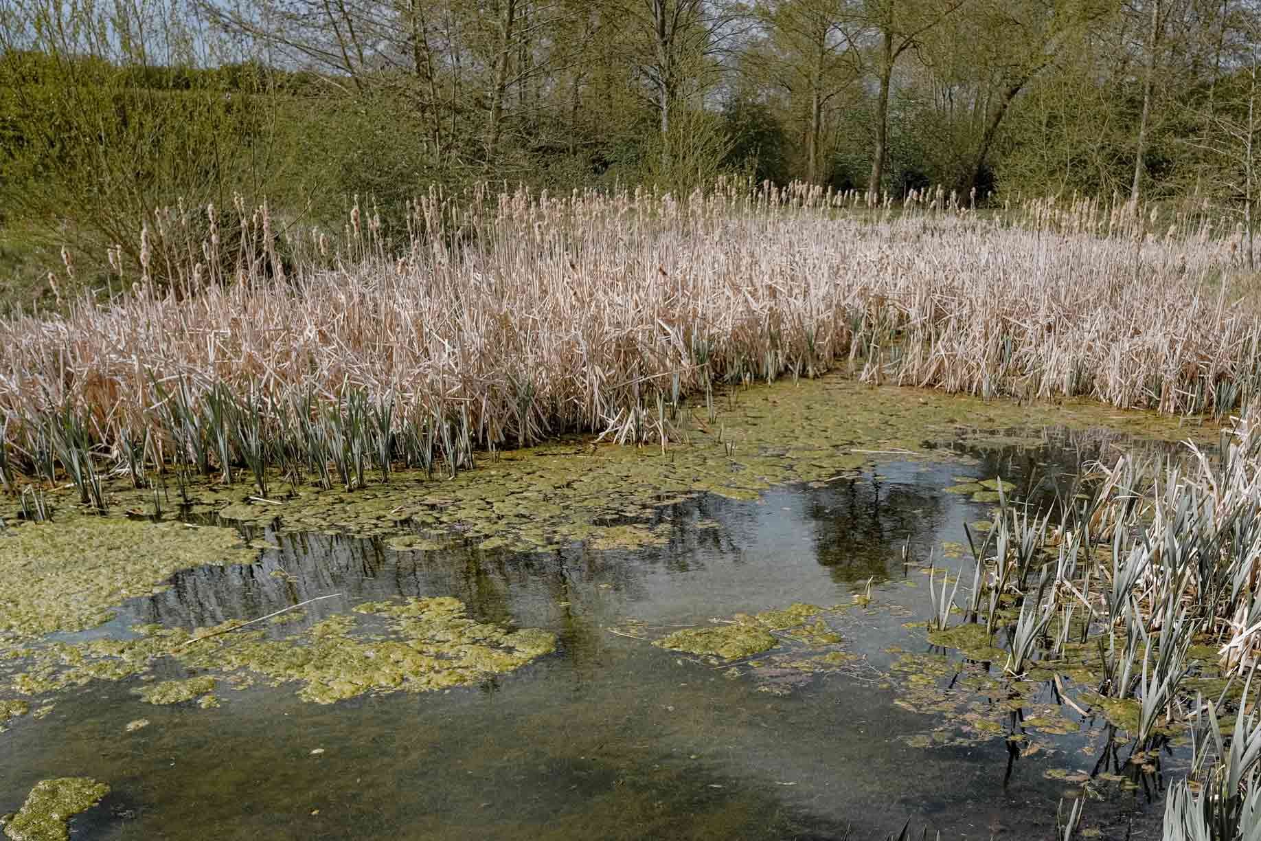 Cuttle Mill Training Room Hire Scenic Grounds with Pond in Northampton
