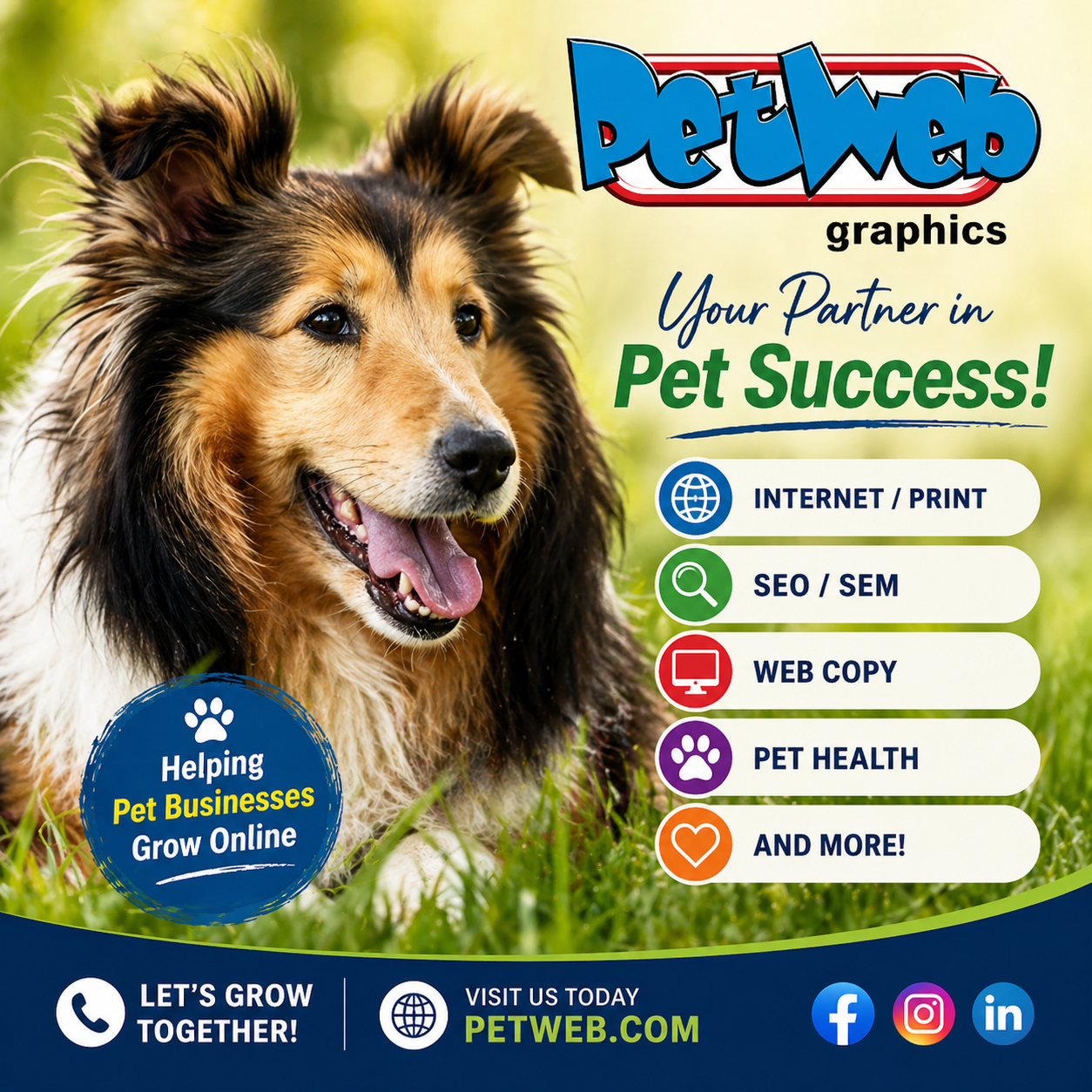 petweb-collie.png