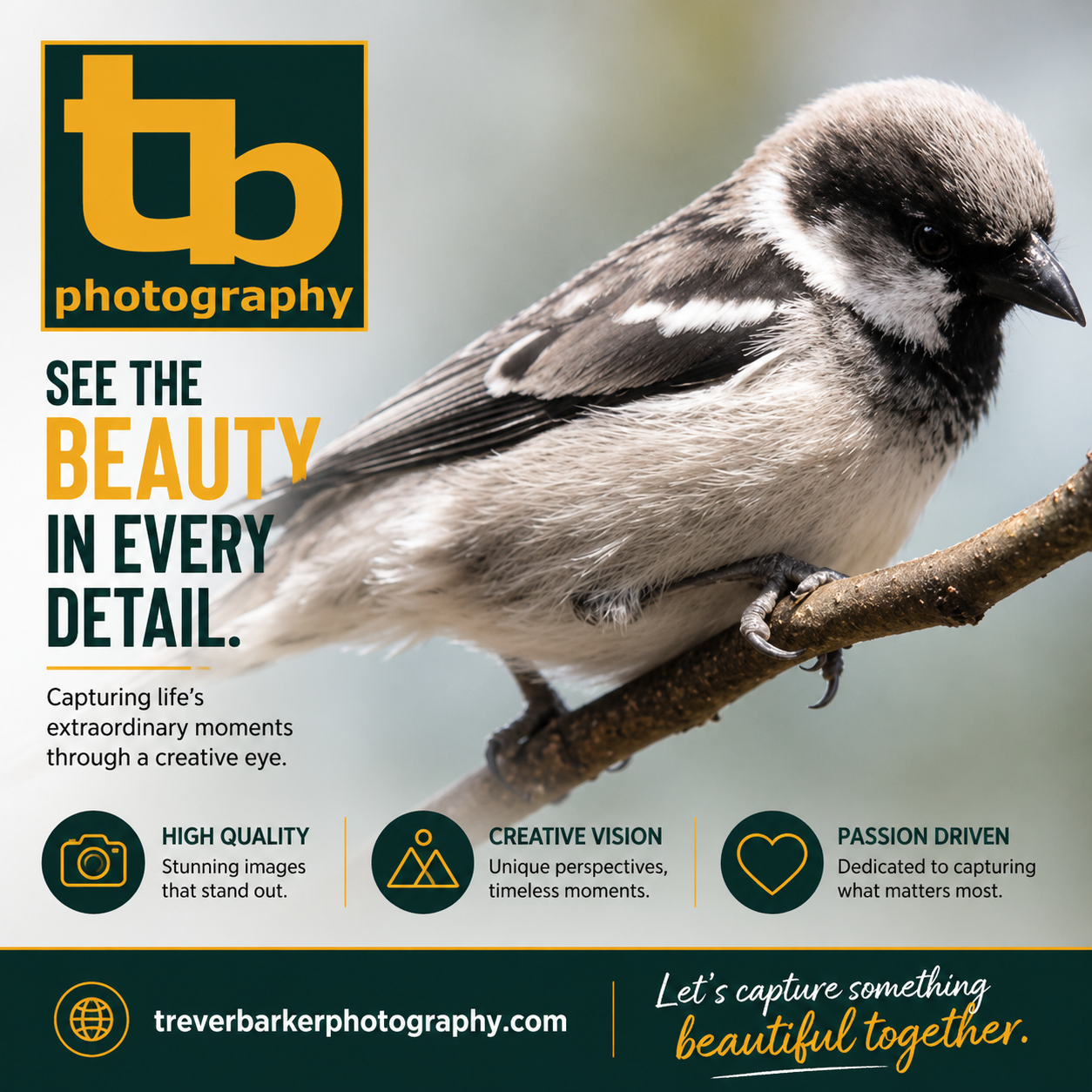 BIRD- TREVER-PHOTO.png