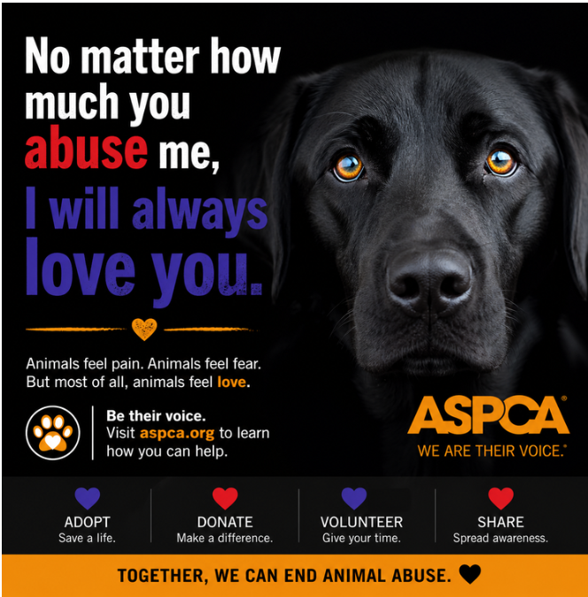 aspca-dog.png