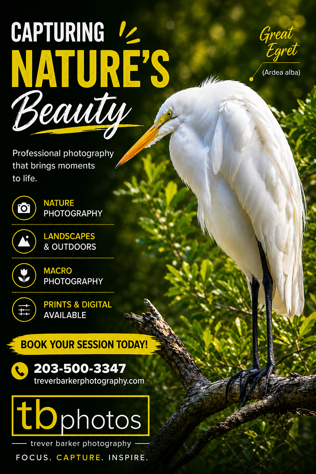 egret-tb-photos.png