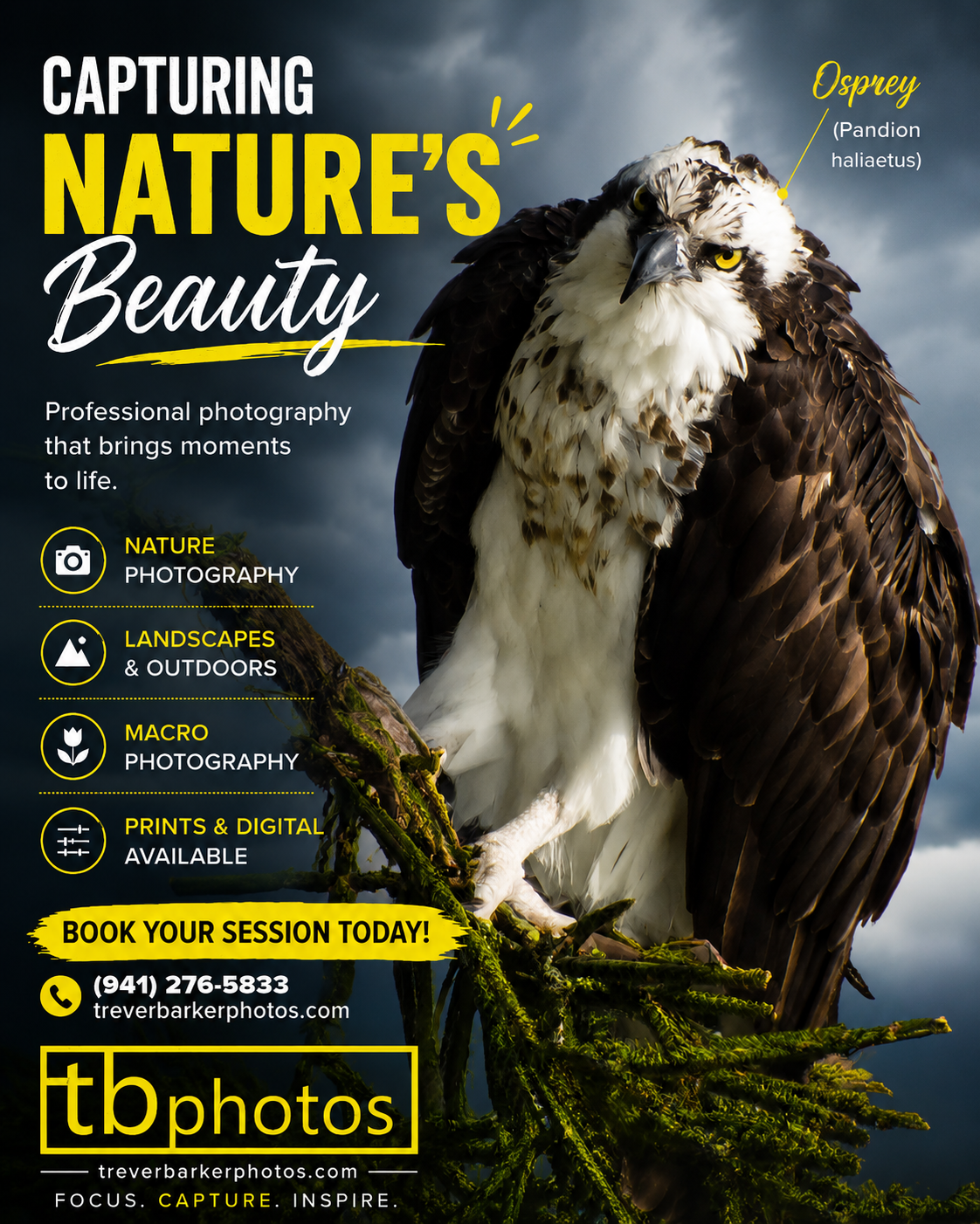 ospey-natures-beauty.png