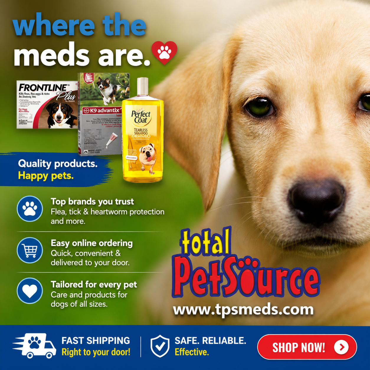 tpsmeds-meds.png