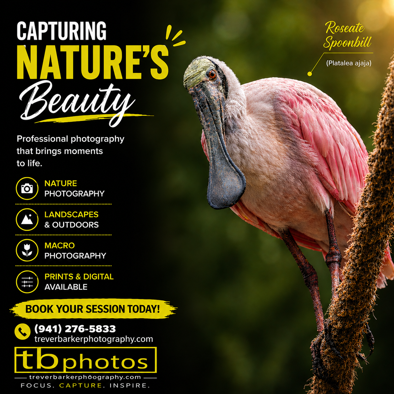 nature-roseate.png