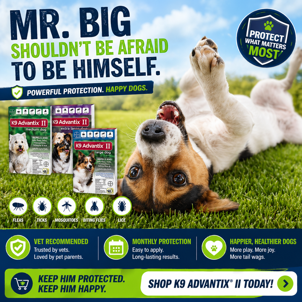 mr-big.png