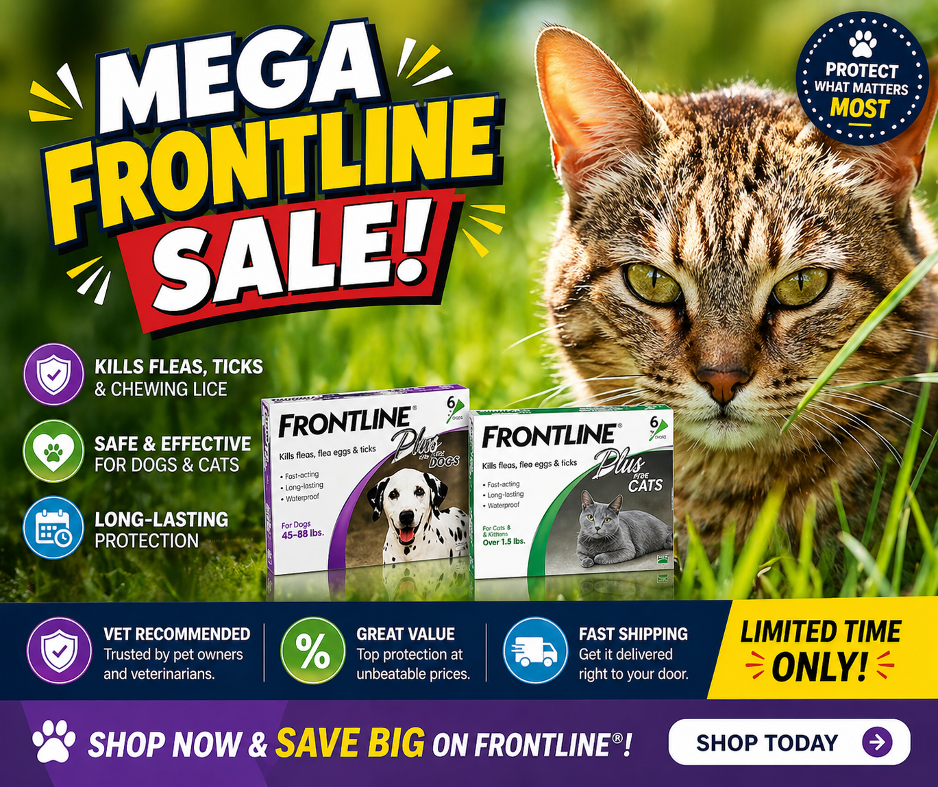mega-cat.png