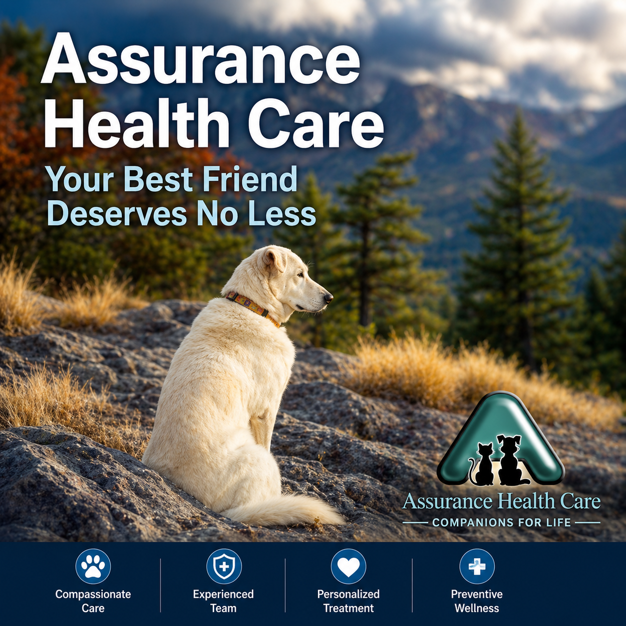 assurance-health.png