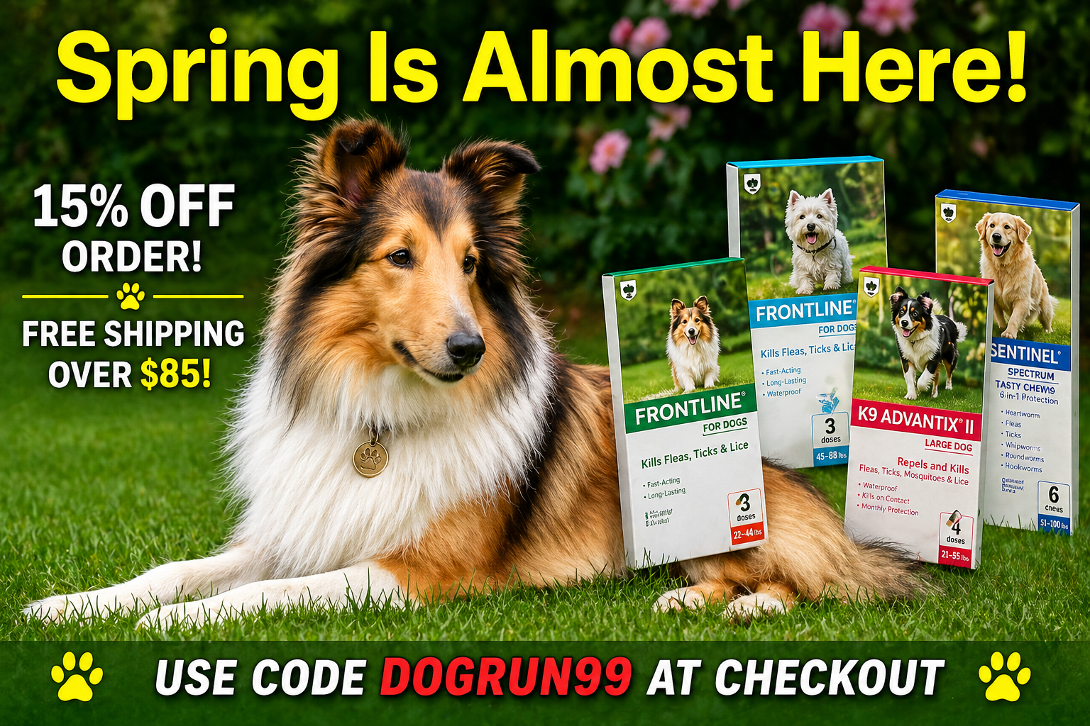 spring-lassie.png