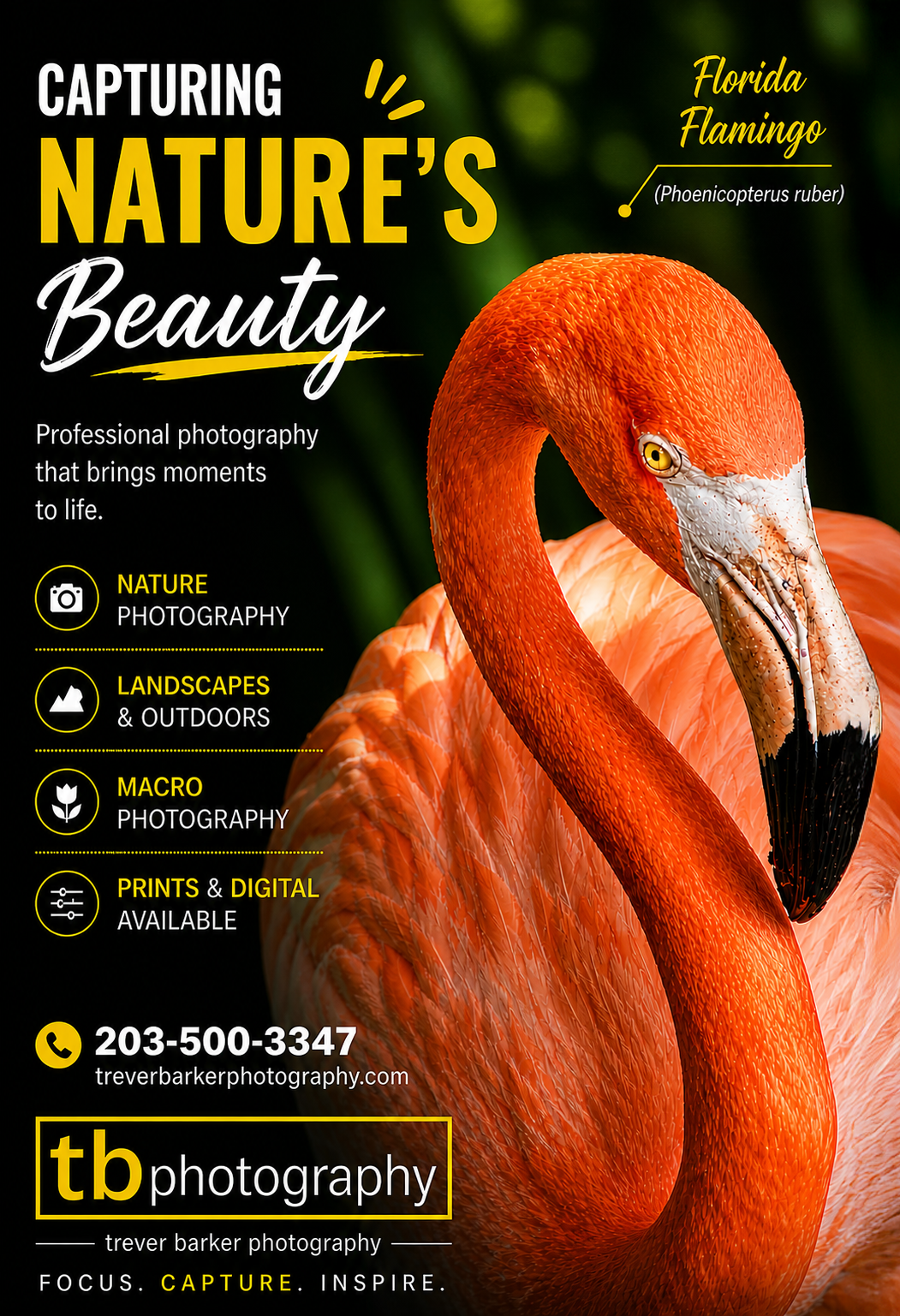 flamingo-face.png