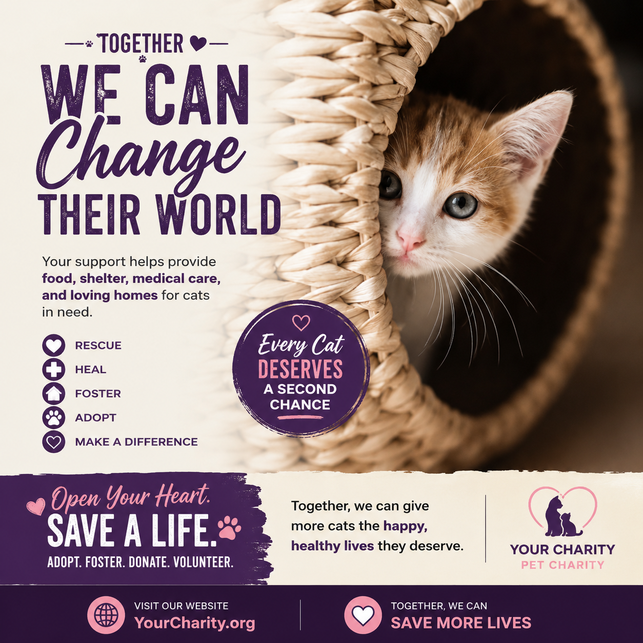 cat-charity.png
