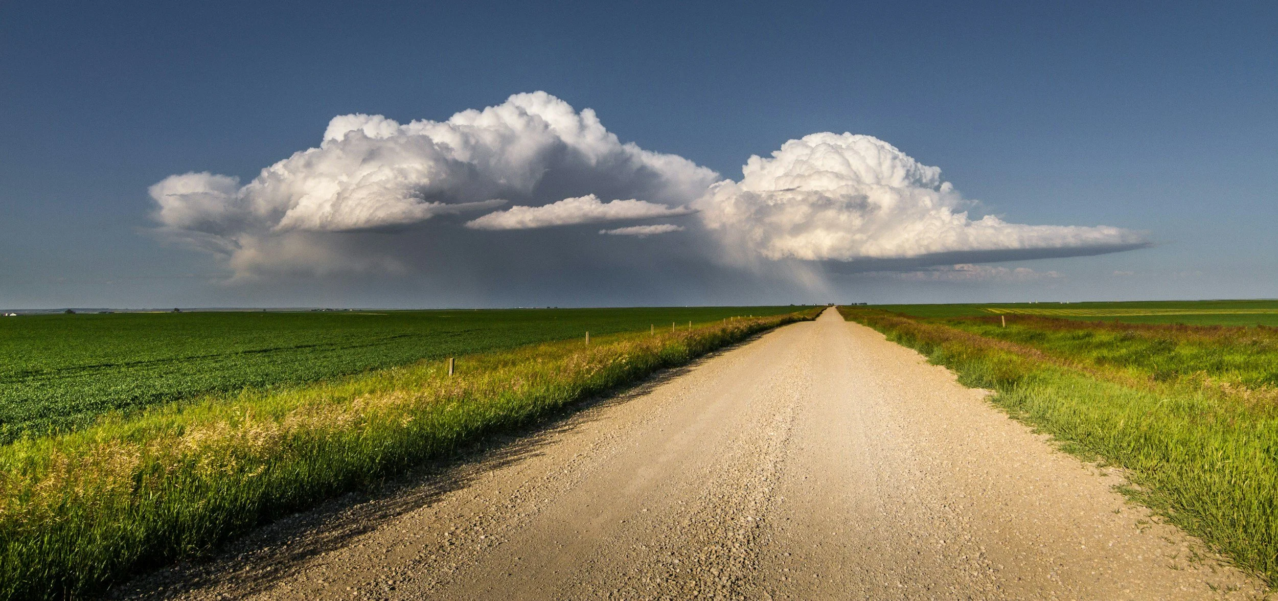 A dirt road running through green fields with a large cloud formation in the sky.