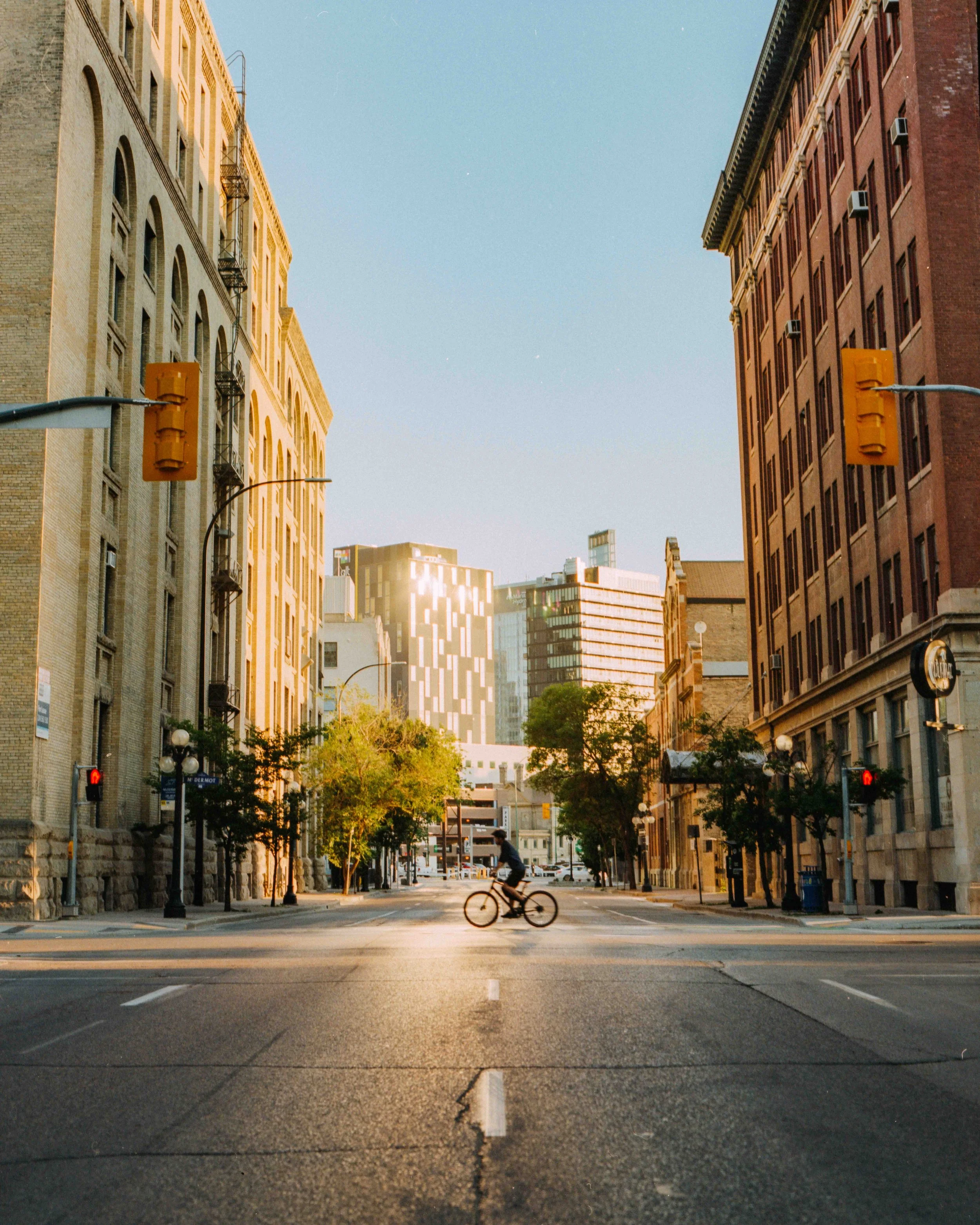 A city street scene during daytime with tall buildings on both sides, trees lining the sidewalk, and a cyclist riding across a crosswalk. The traffic lights are red.