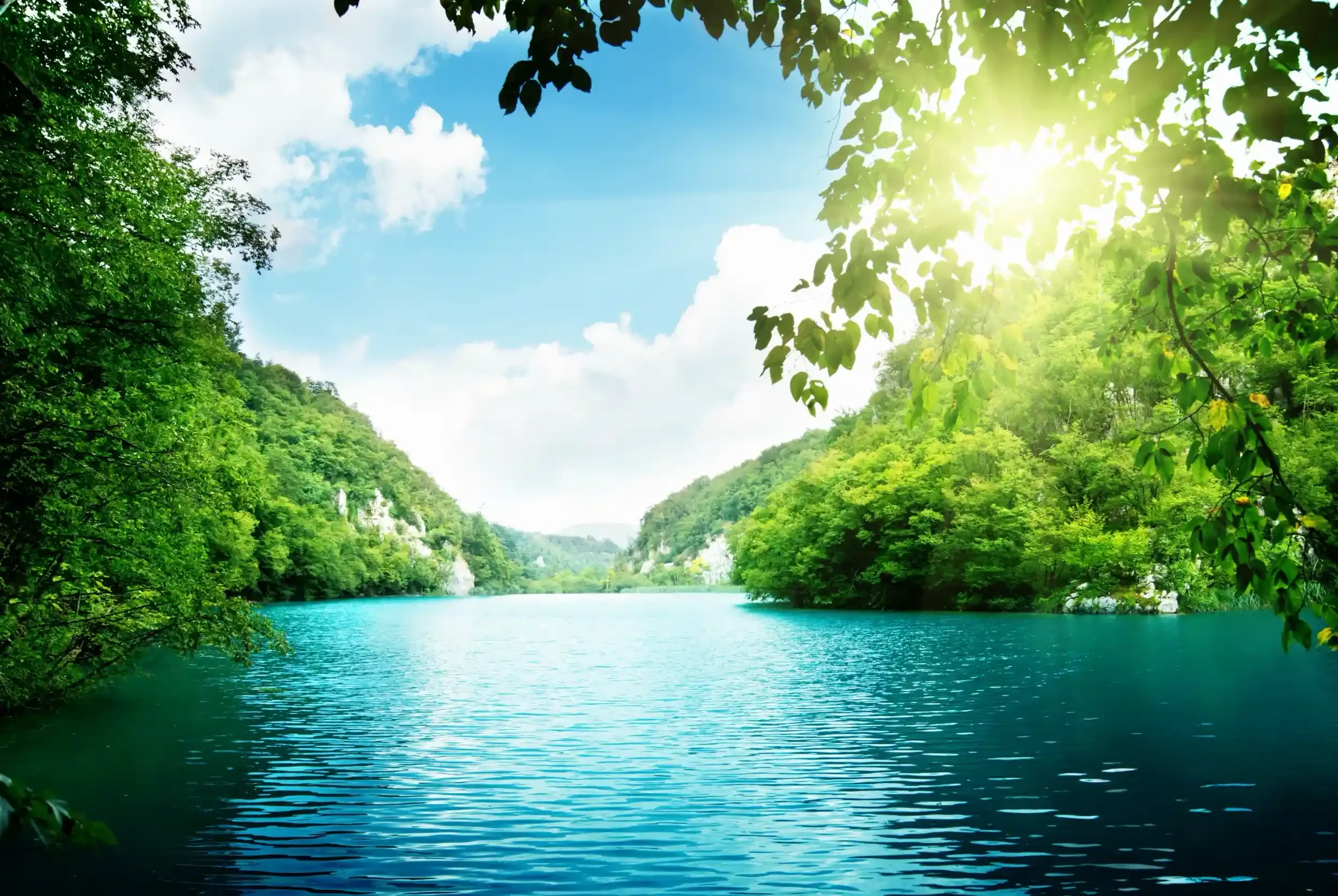 A scenic river flowing through a lush green forest with hills in the background, under a bright blue sky with some clouds and sunlight filtering through tree leaves.