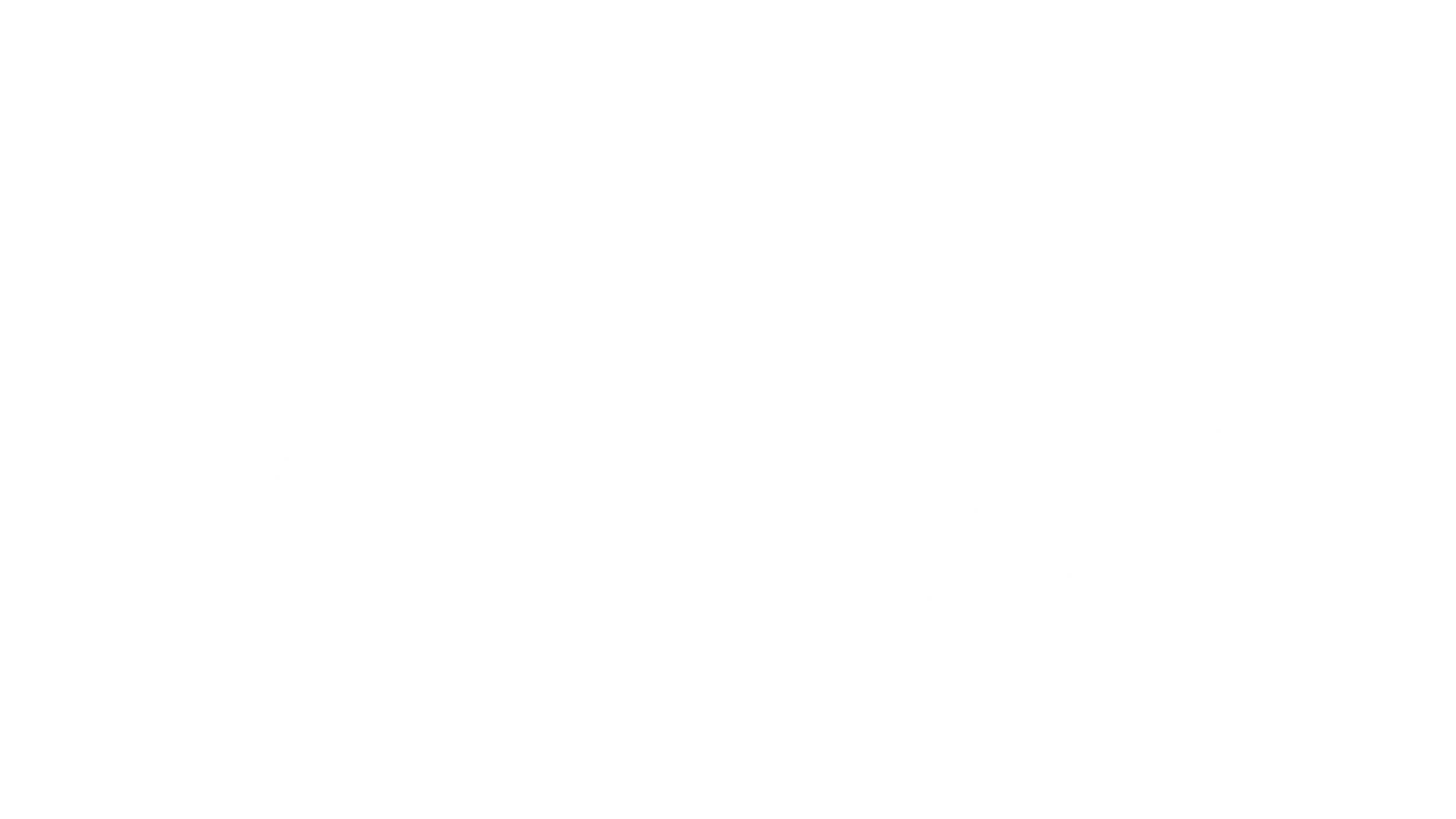 Logo with a paper airplane and text that reads "ROHS complaint".