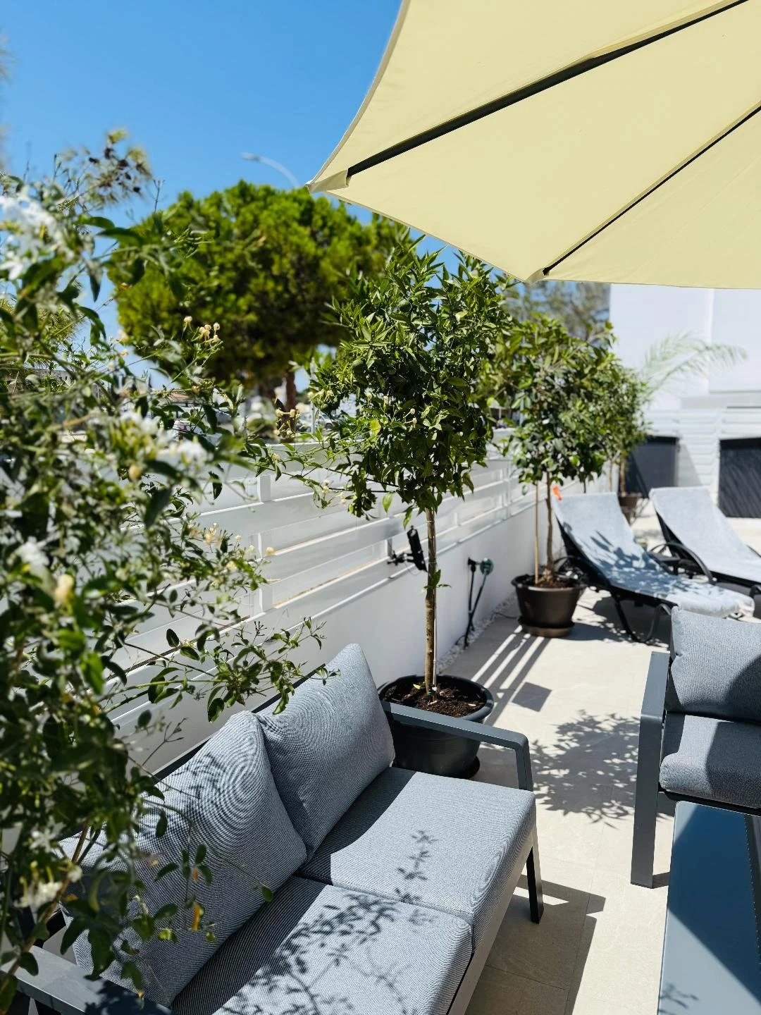 Ext Furniture Lounging Close Up.jfif