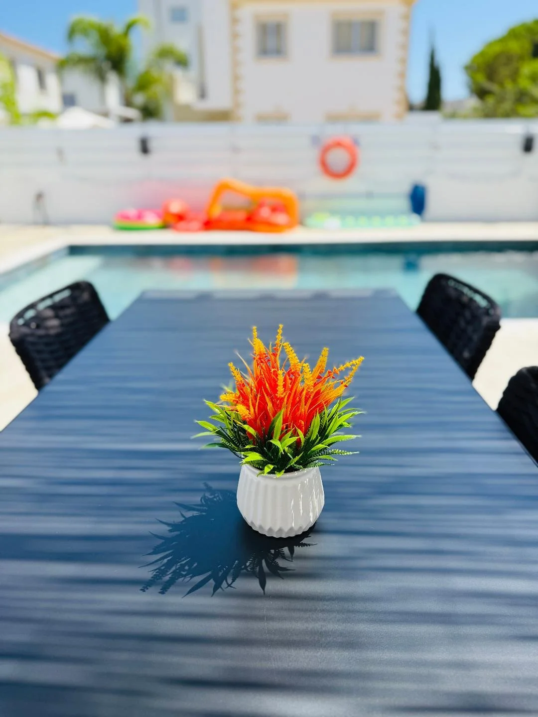 Ext View From Dining Table Close Up.jfif