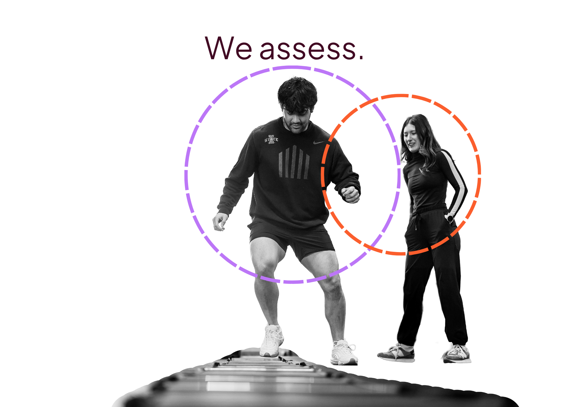 we assess.png