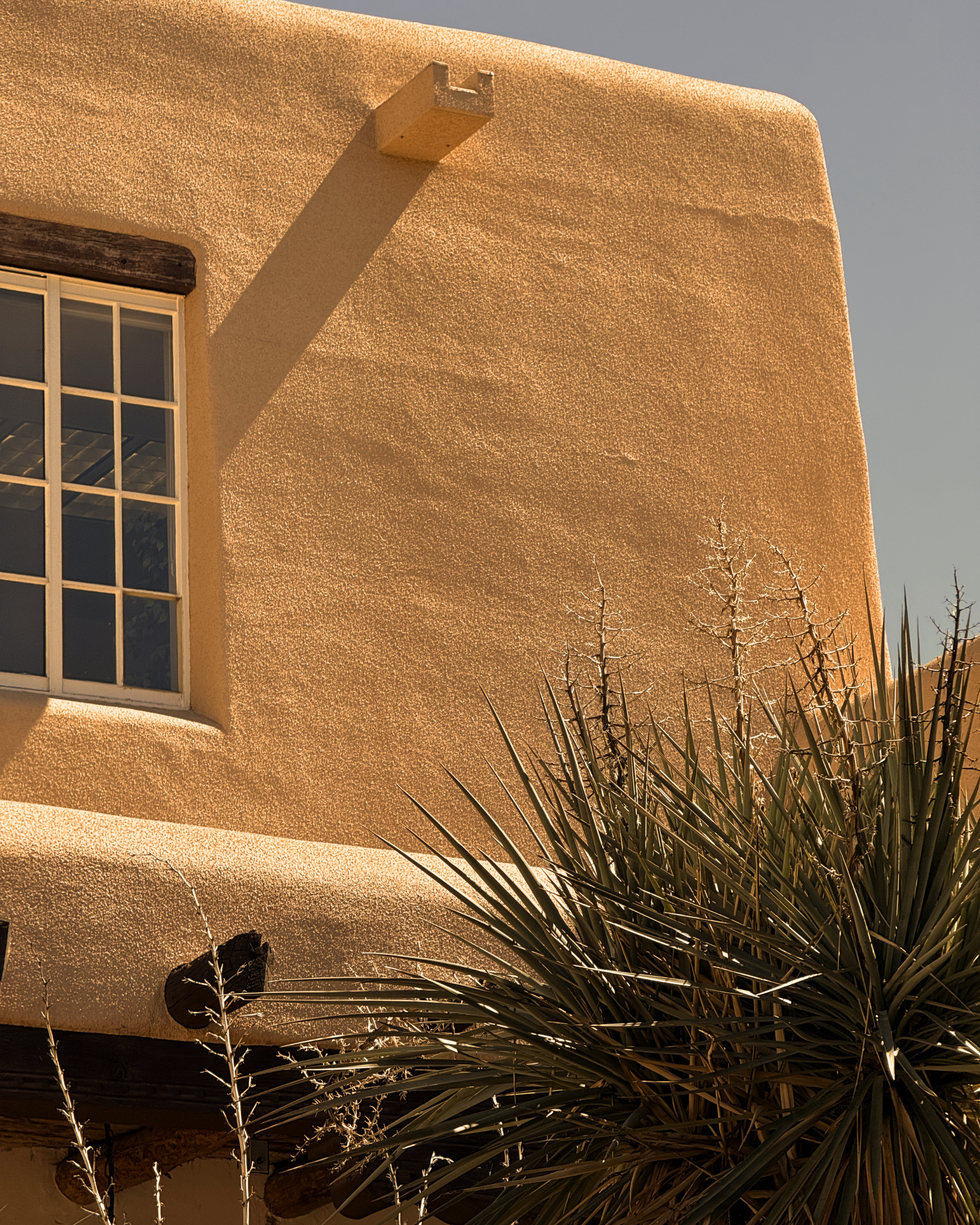 A corner of a stucco building with a textured beige wall, a window with white mullions. There are spiky desert plants in the foreground, and a tree with no leaves in the lower right corner, lit by warm lighting, with a clear sky in the background.