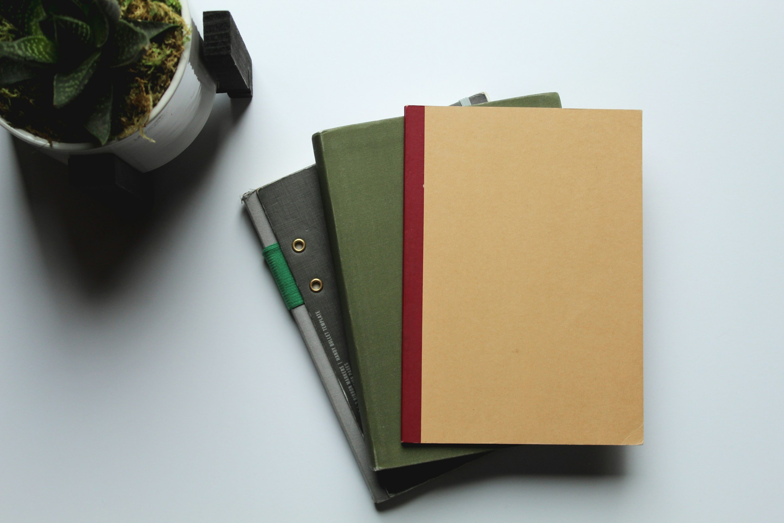 Top view of three closed books stacked on a white surface next to a potted succulent plant.