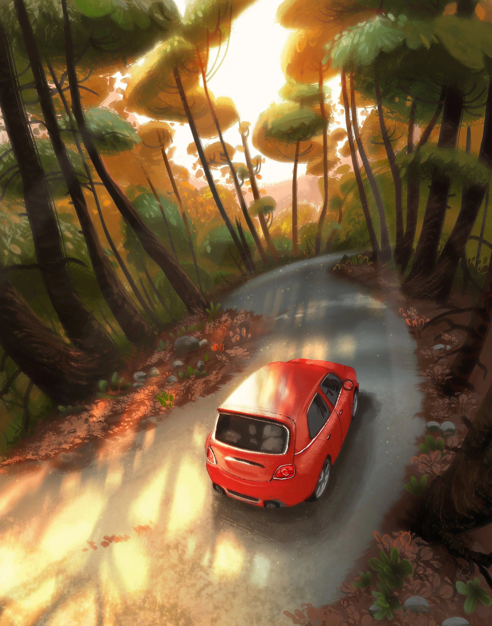 road-insa.jpg