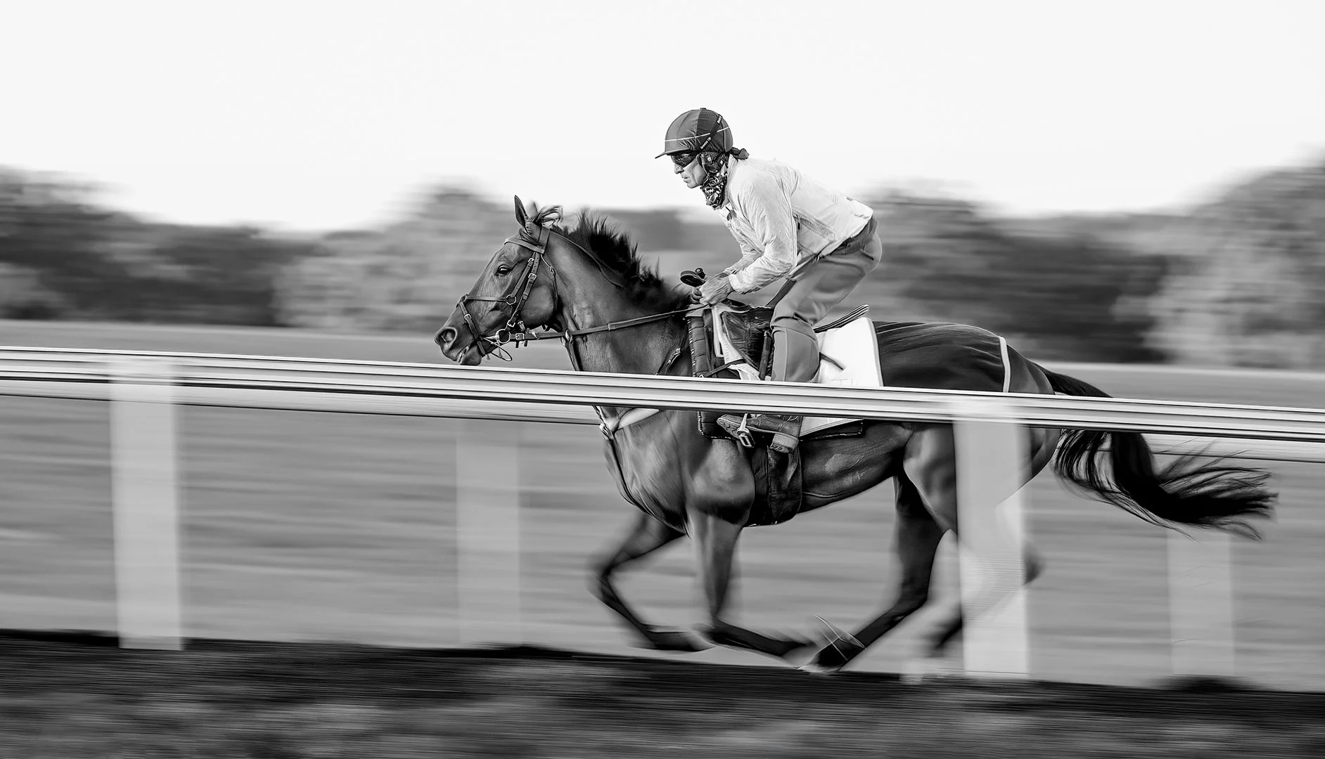 Newmarket Gallops Panning Retro.JPG