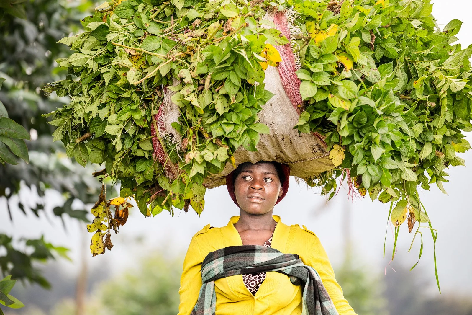 Rwanda Tea Lady.JPG