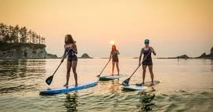 Paddle Board