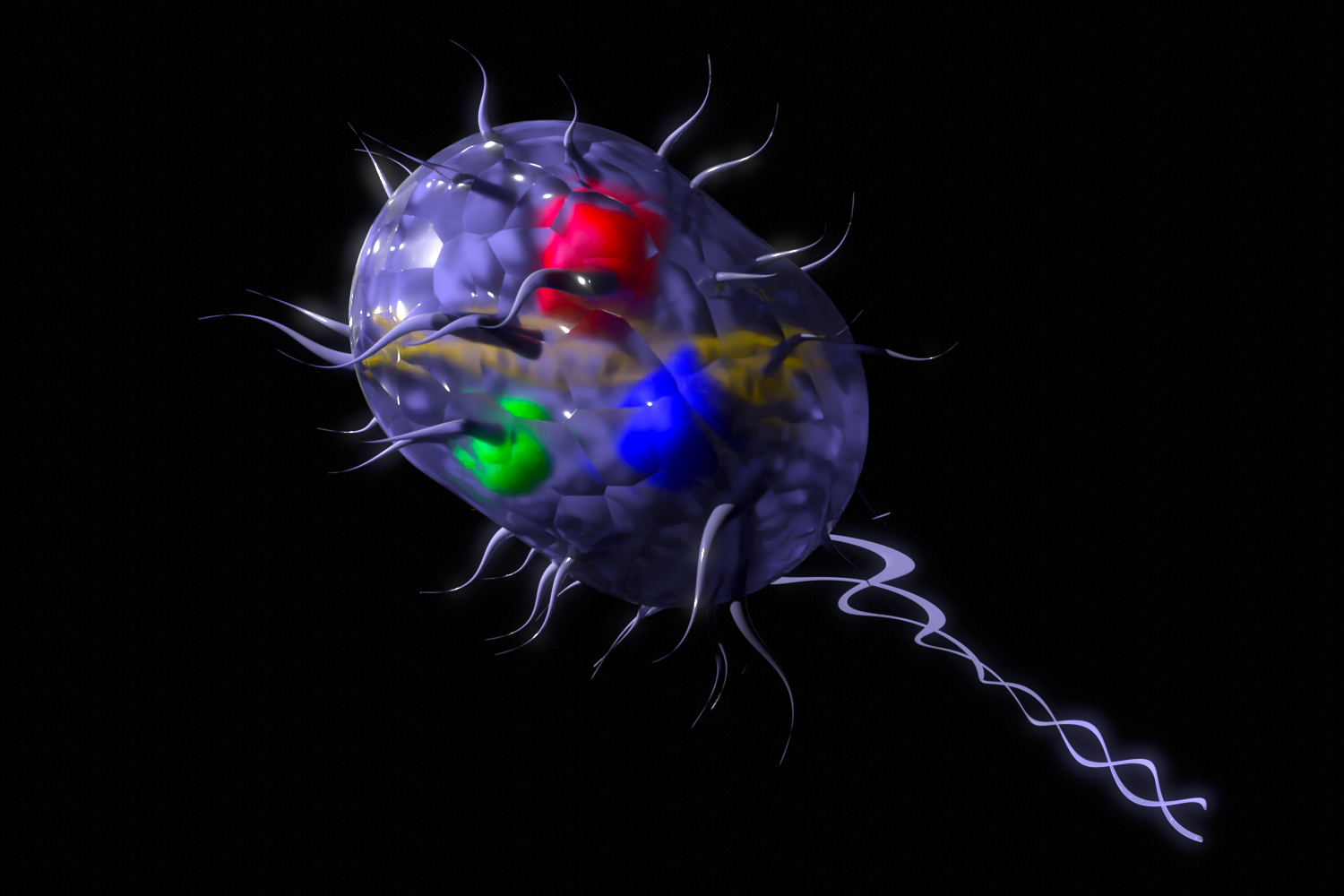 Bacterium - 1 hour challenge
