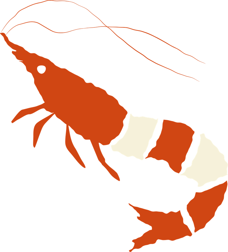 Hi.Dozo illustrated prawn icon