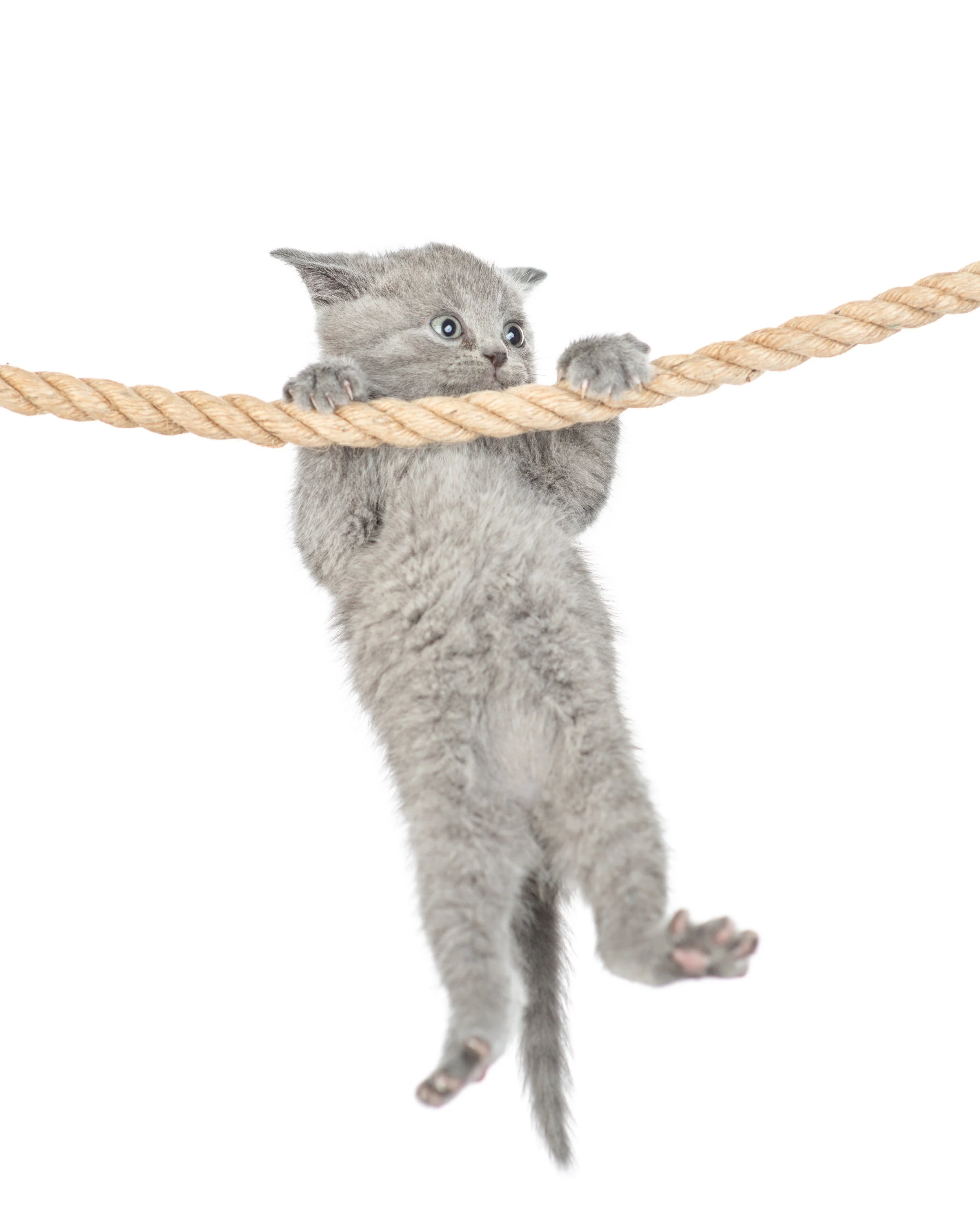“Darling, your participles are dangling!”