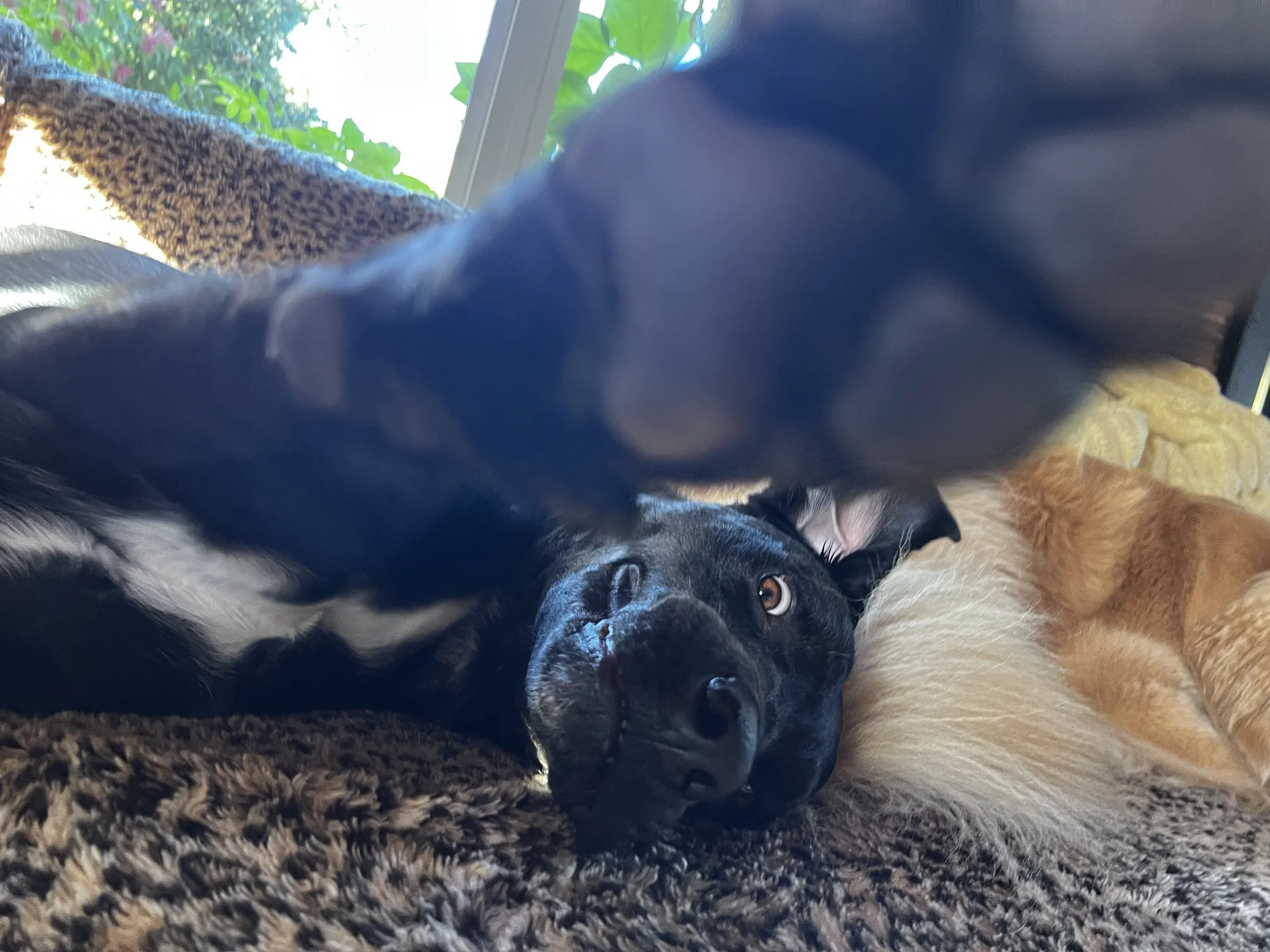 IMG_0173.jpeg
