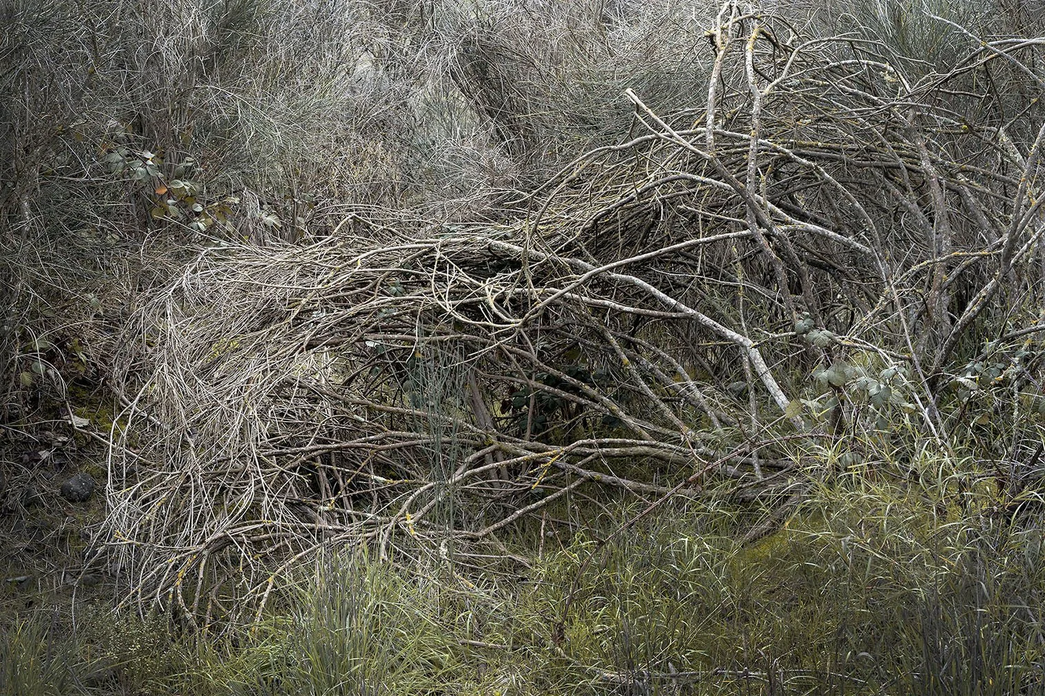190131_1072.jpg