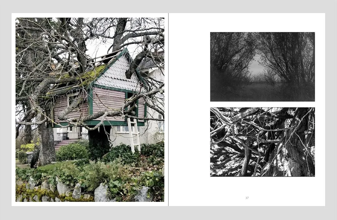 Wander_P07.jpg