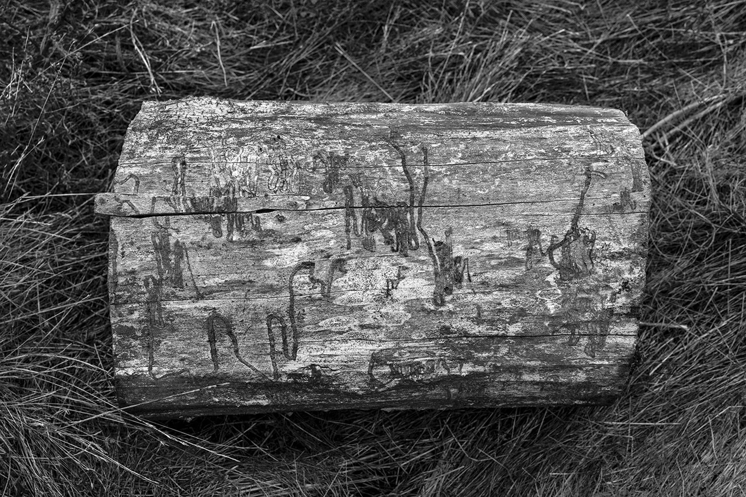_DSC7638.144.jpg