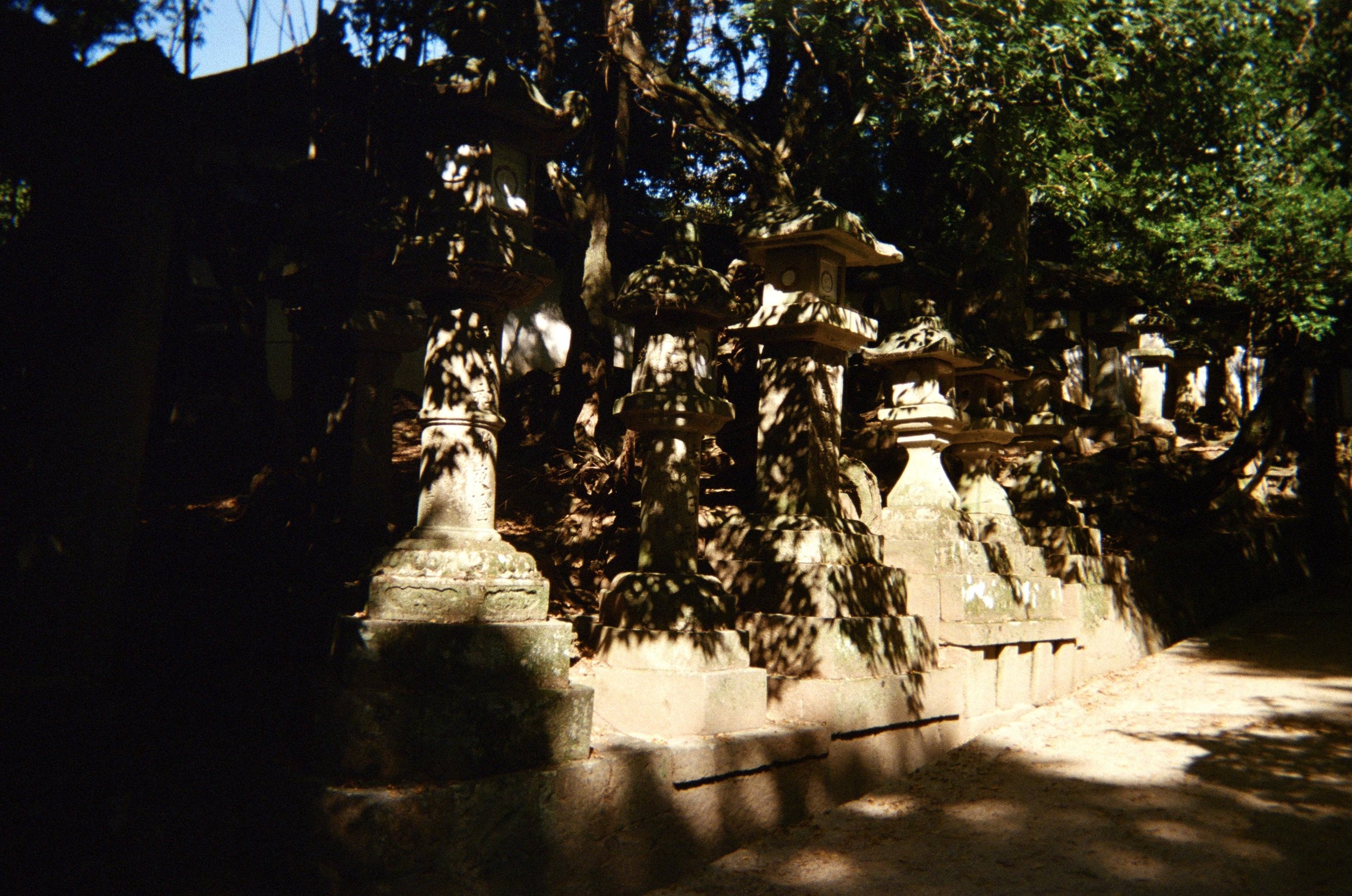 Nara, Japan - 2024