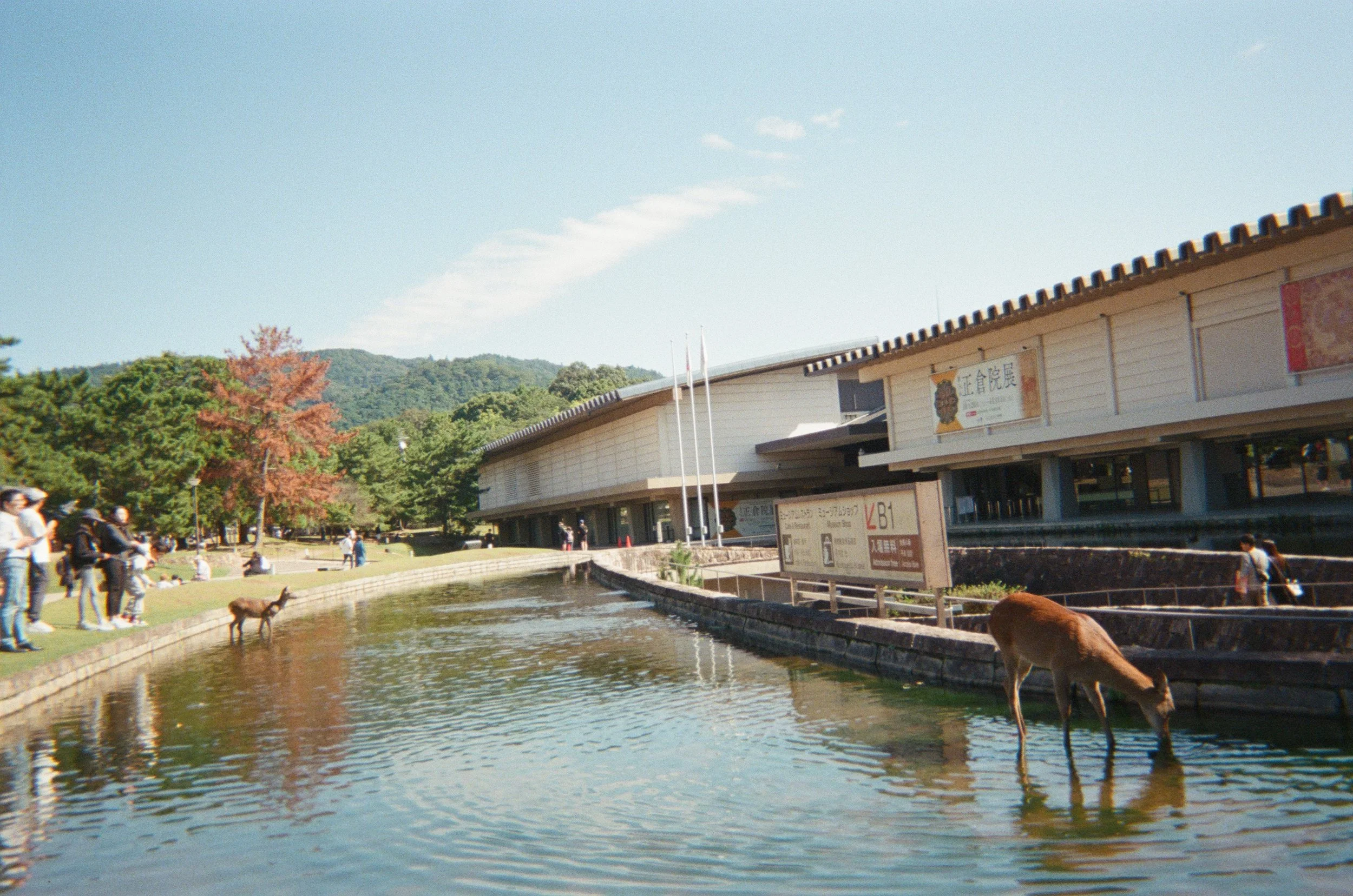 Nara, Japan - 2024