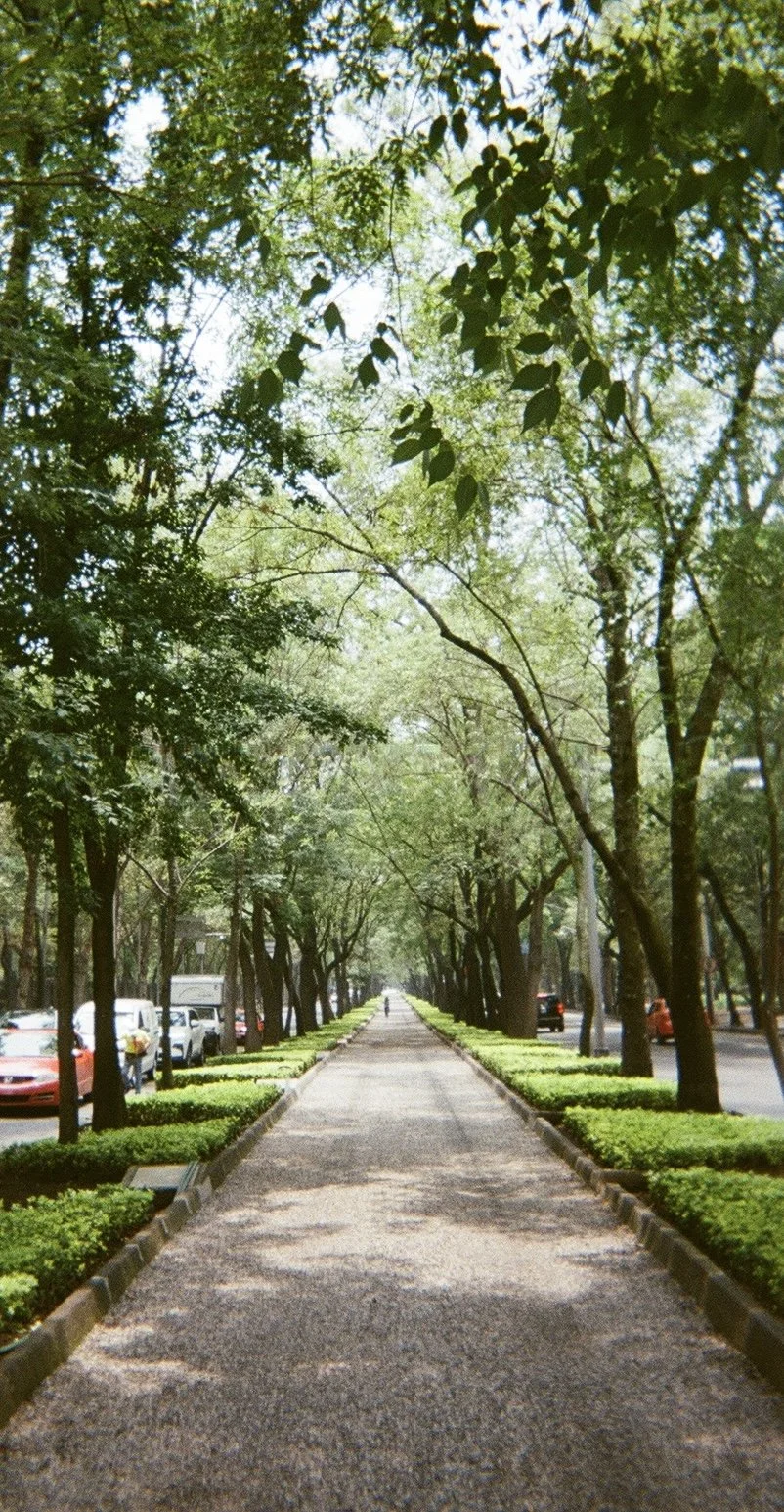 Mexico City - 2025