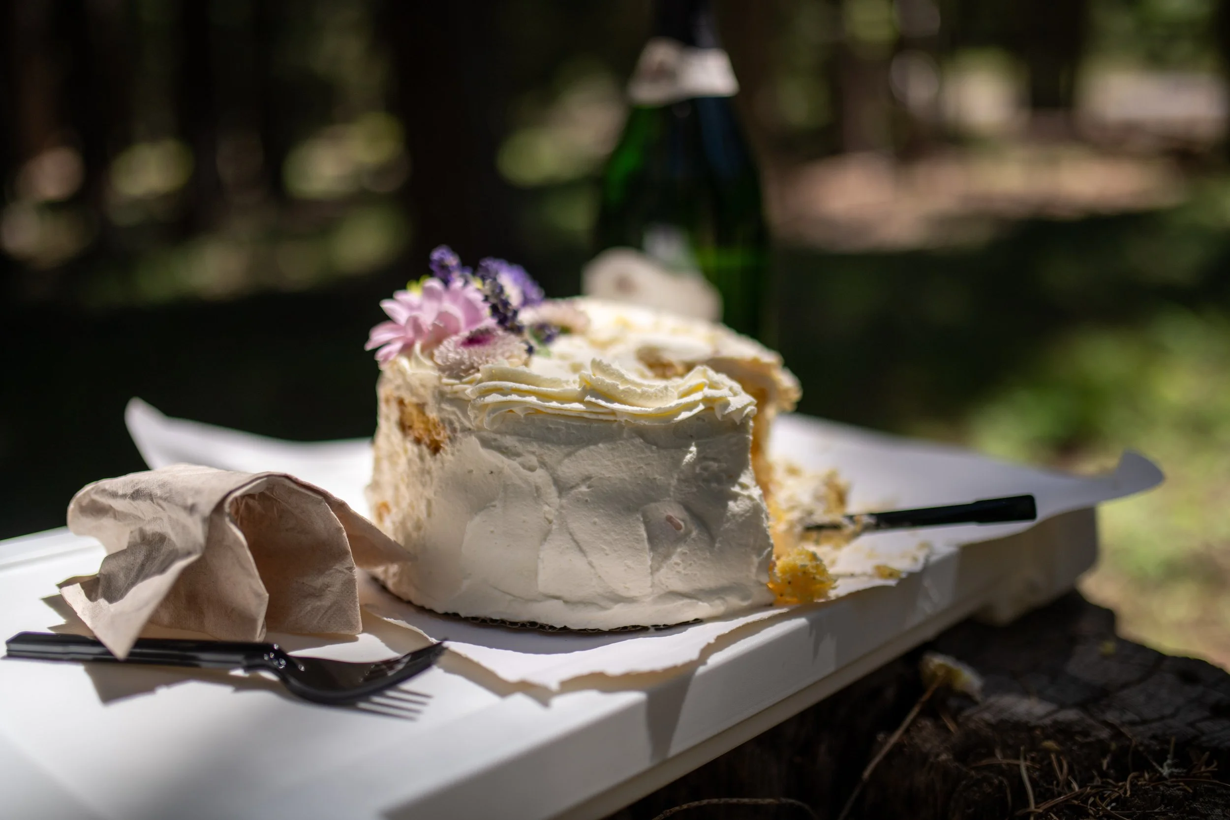 Close-up of a partially eaten cake with white frosting and purple flowers on top, placed on a white surface outdoors, with a blurred background of trees and sunlight.