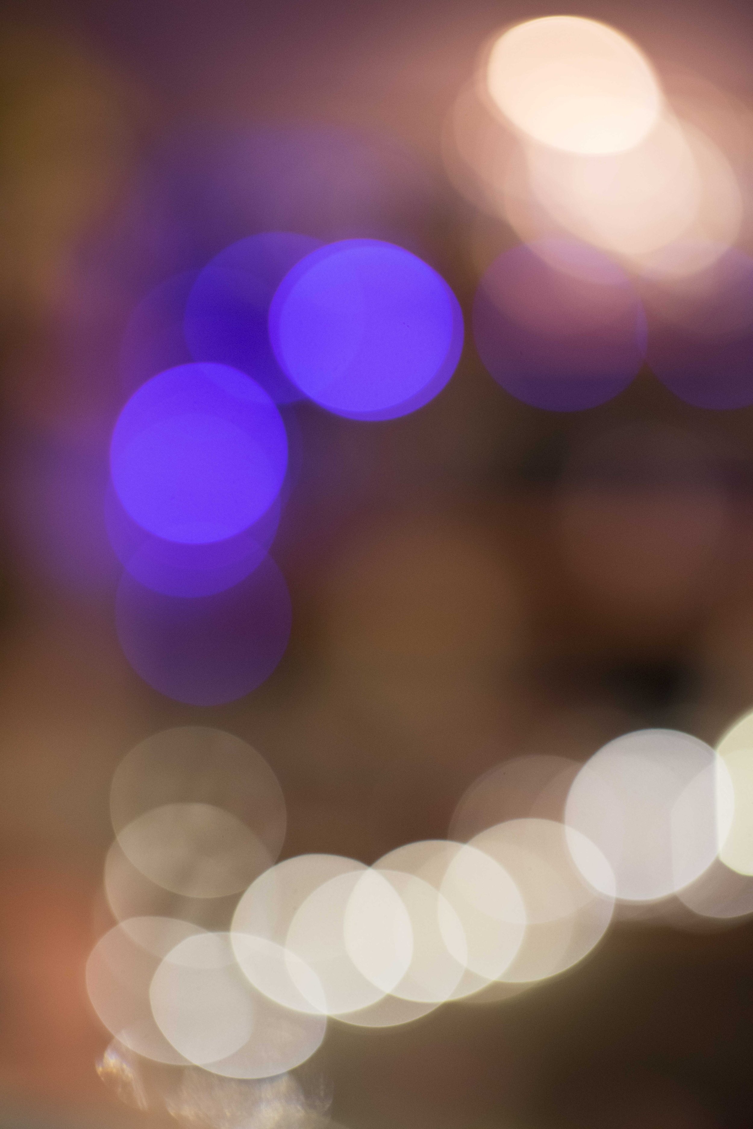 Oregon Wedding Photographers_DSC_5313.jpg