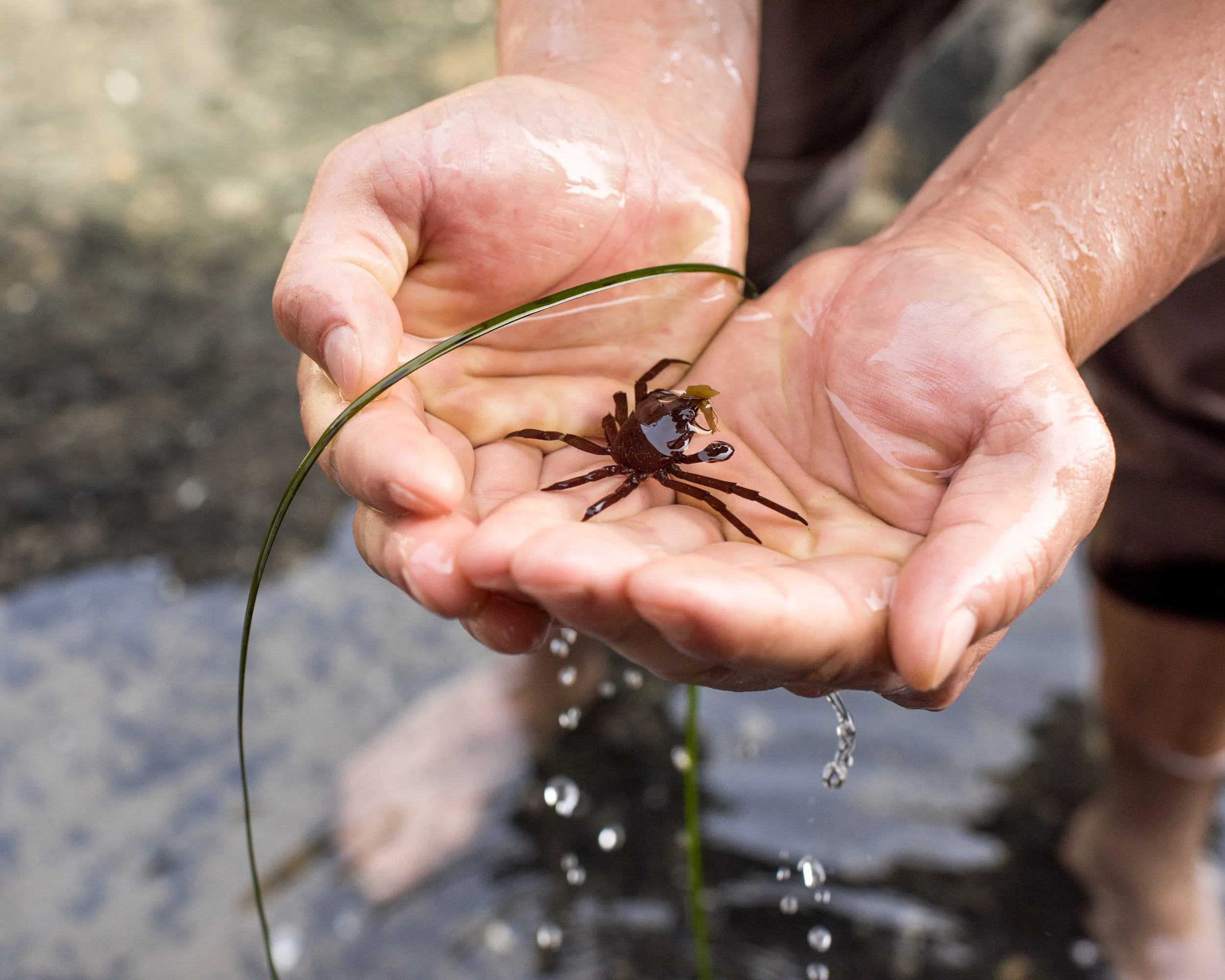  Cannon Beach Engagement Photos_DSC_5844.jpg