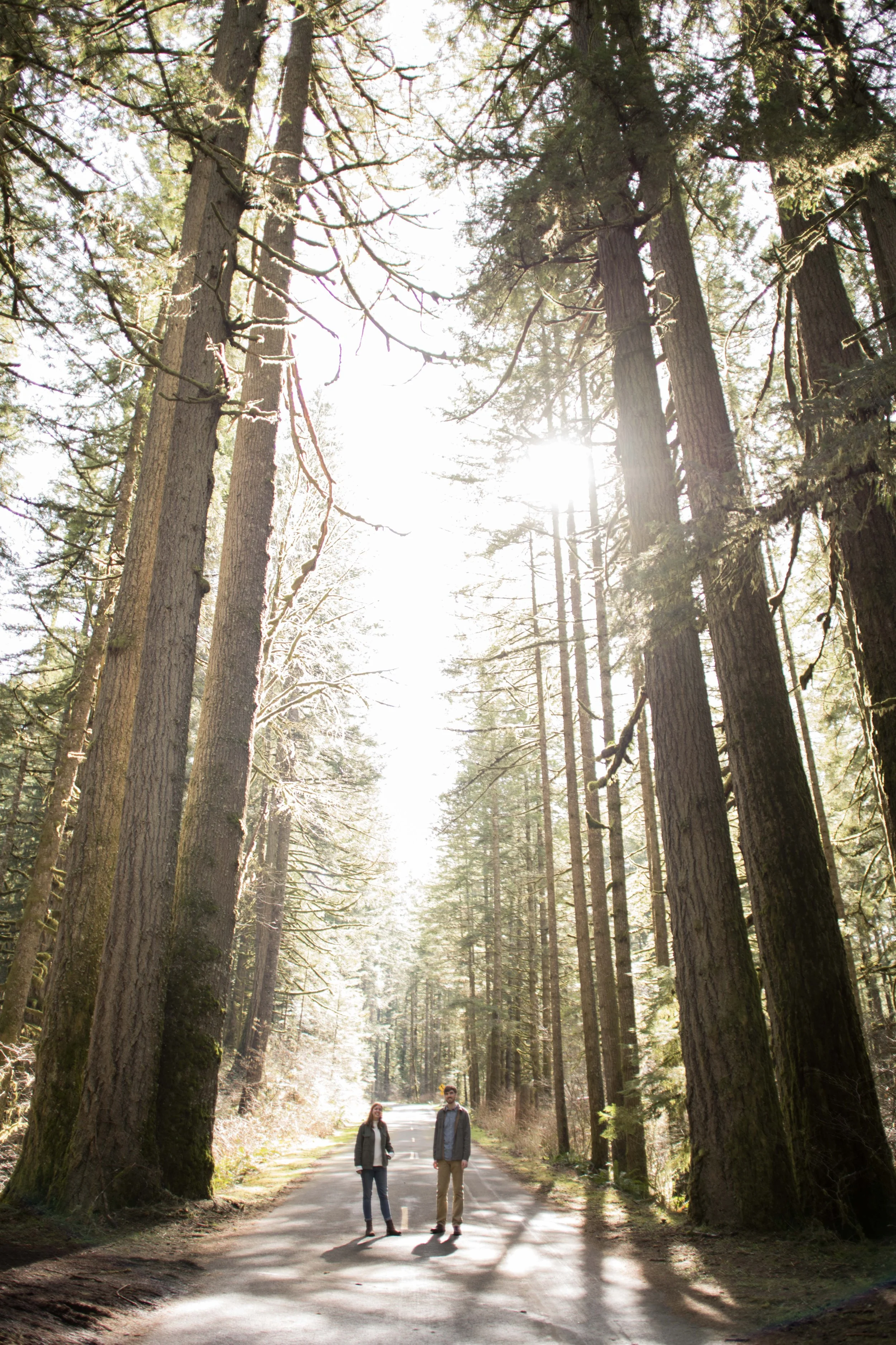 Waterfall Engagaement Photos_037.jpg