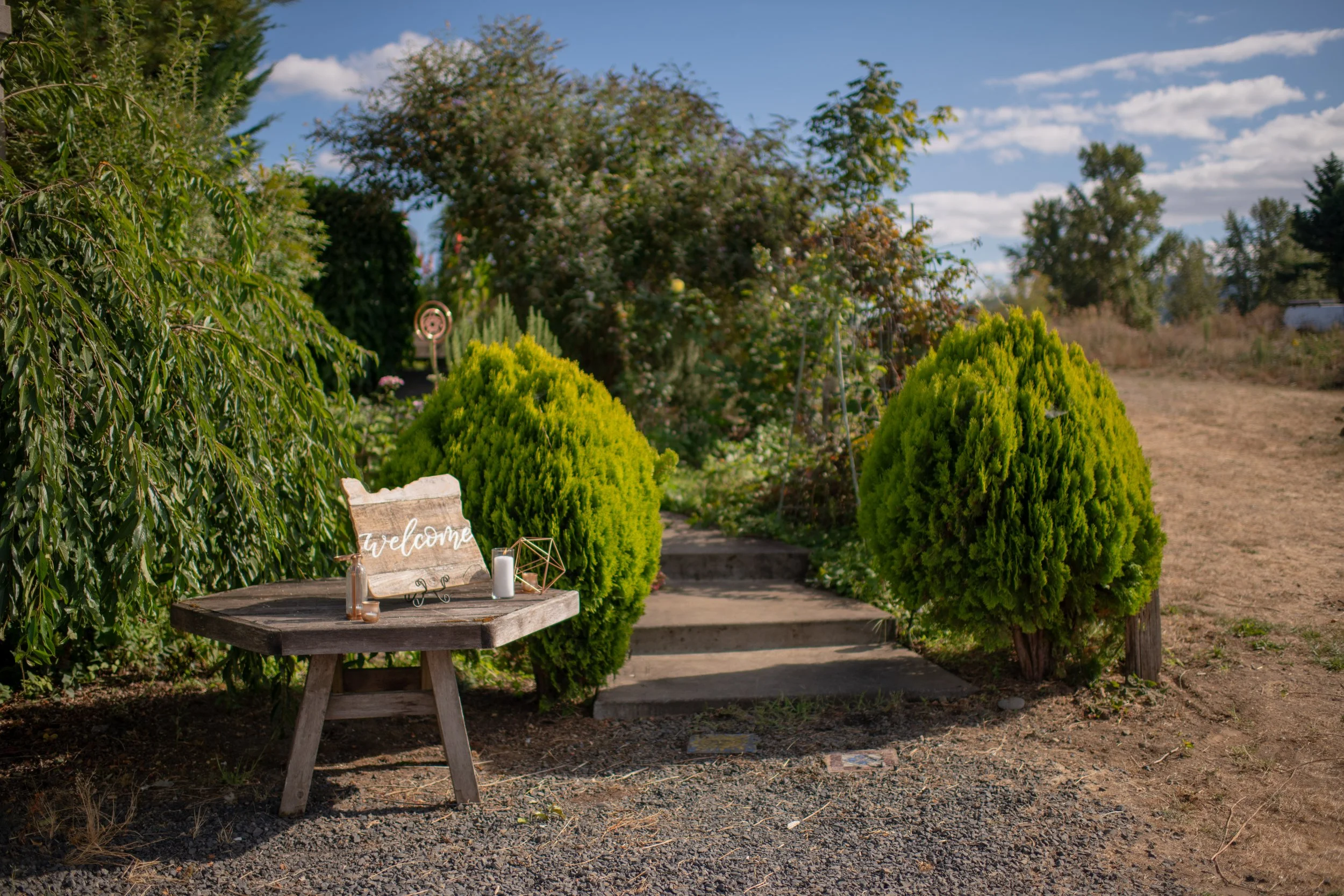 A rustic outdoor setting with a weathered wooden table displaying a small 