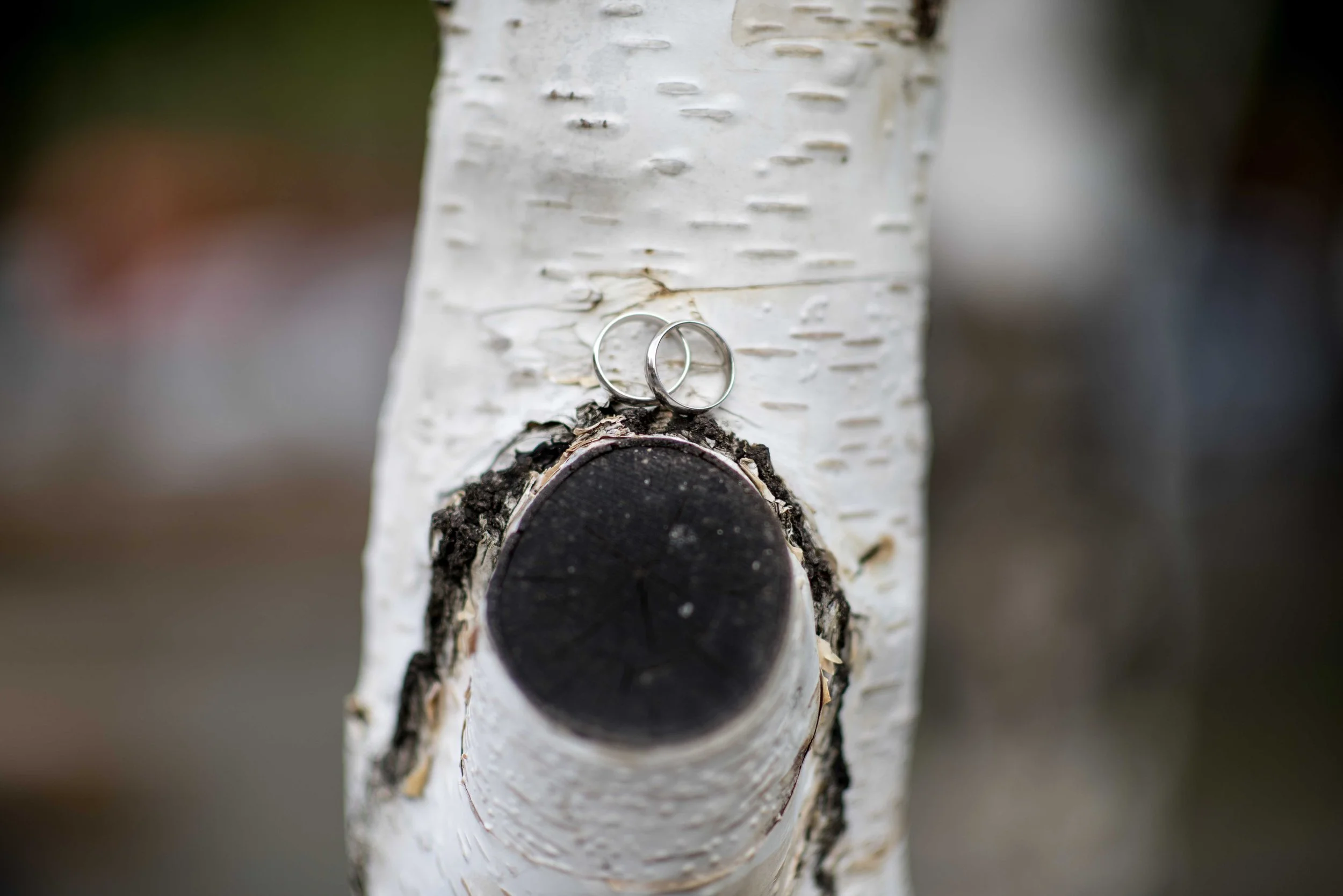 LGBT Wedding Photographer_DSC_5951.jpg