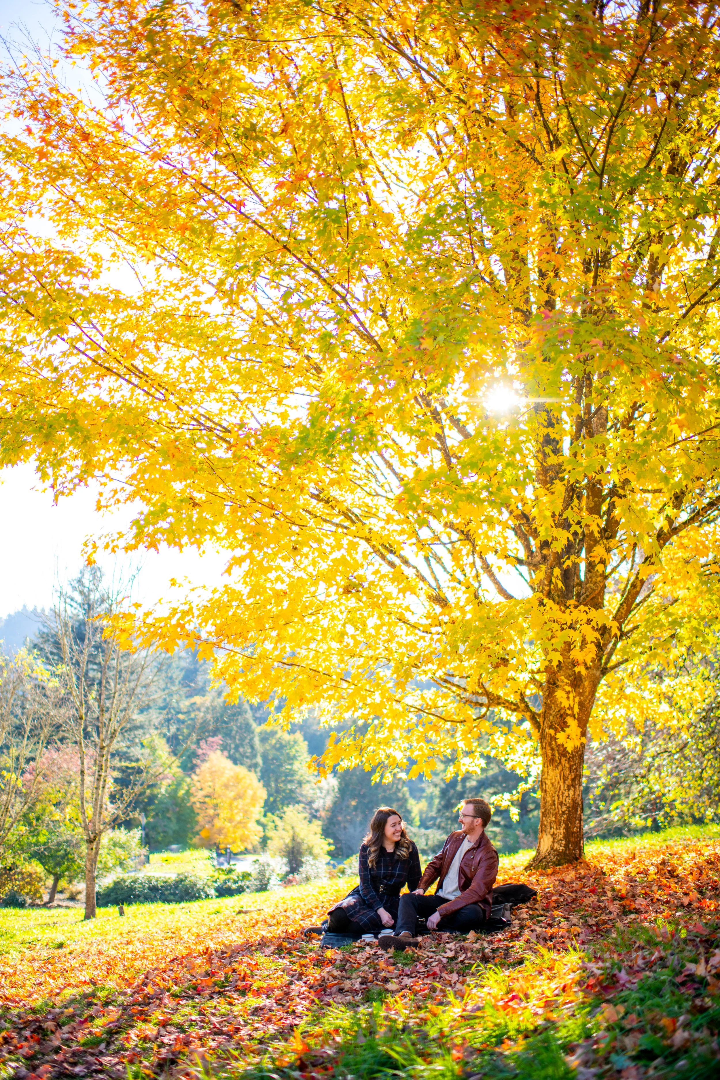 A couple sitting on the ground in a park during autumn, surrounded by colorful fallen leaves, under a large tree with yellow and orange leaves, with the sun shining through the branches, smiling and engaged in conversation.